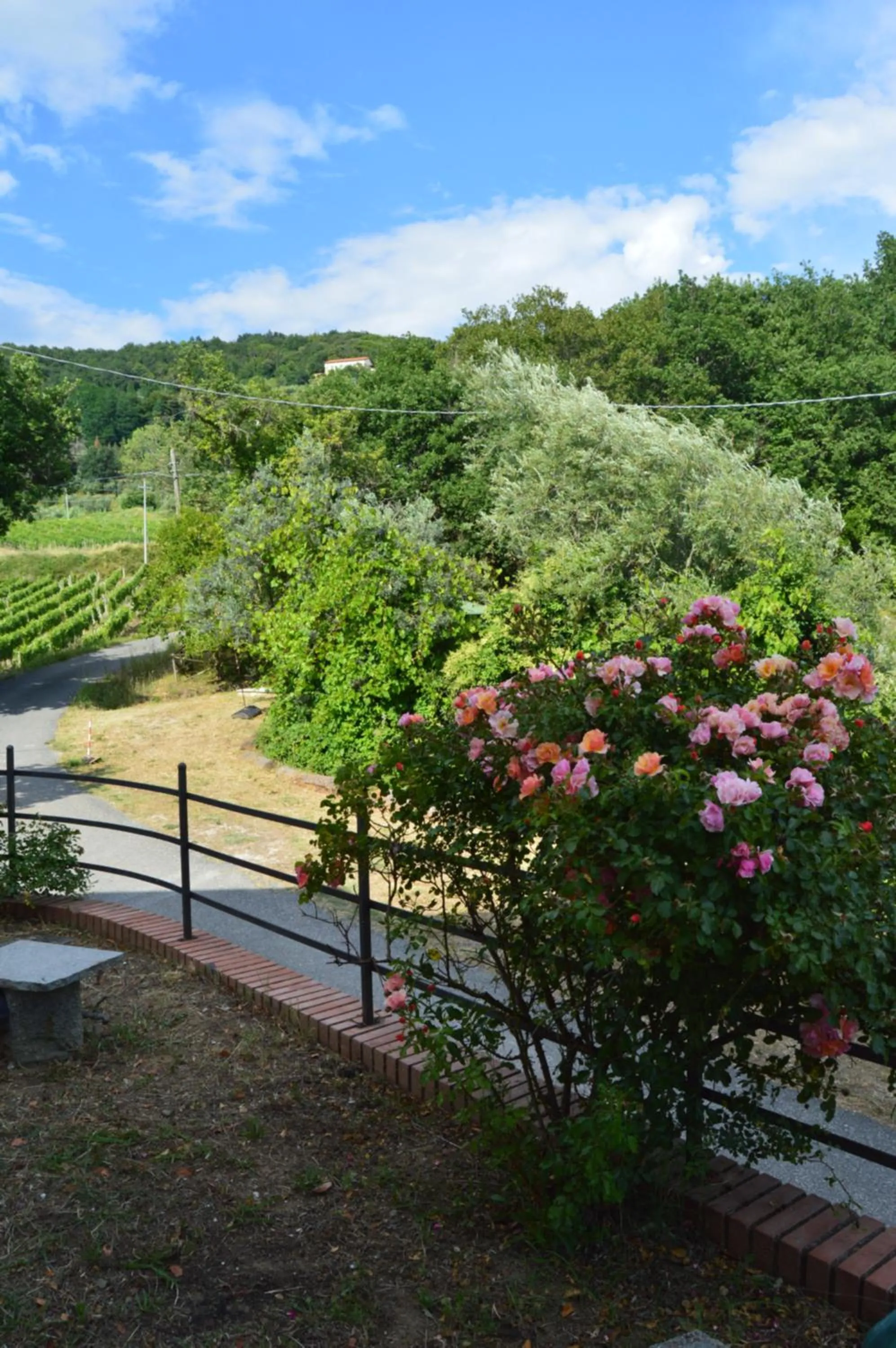 Garden in Casa Sarticola