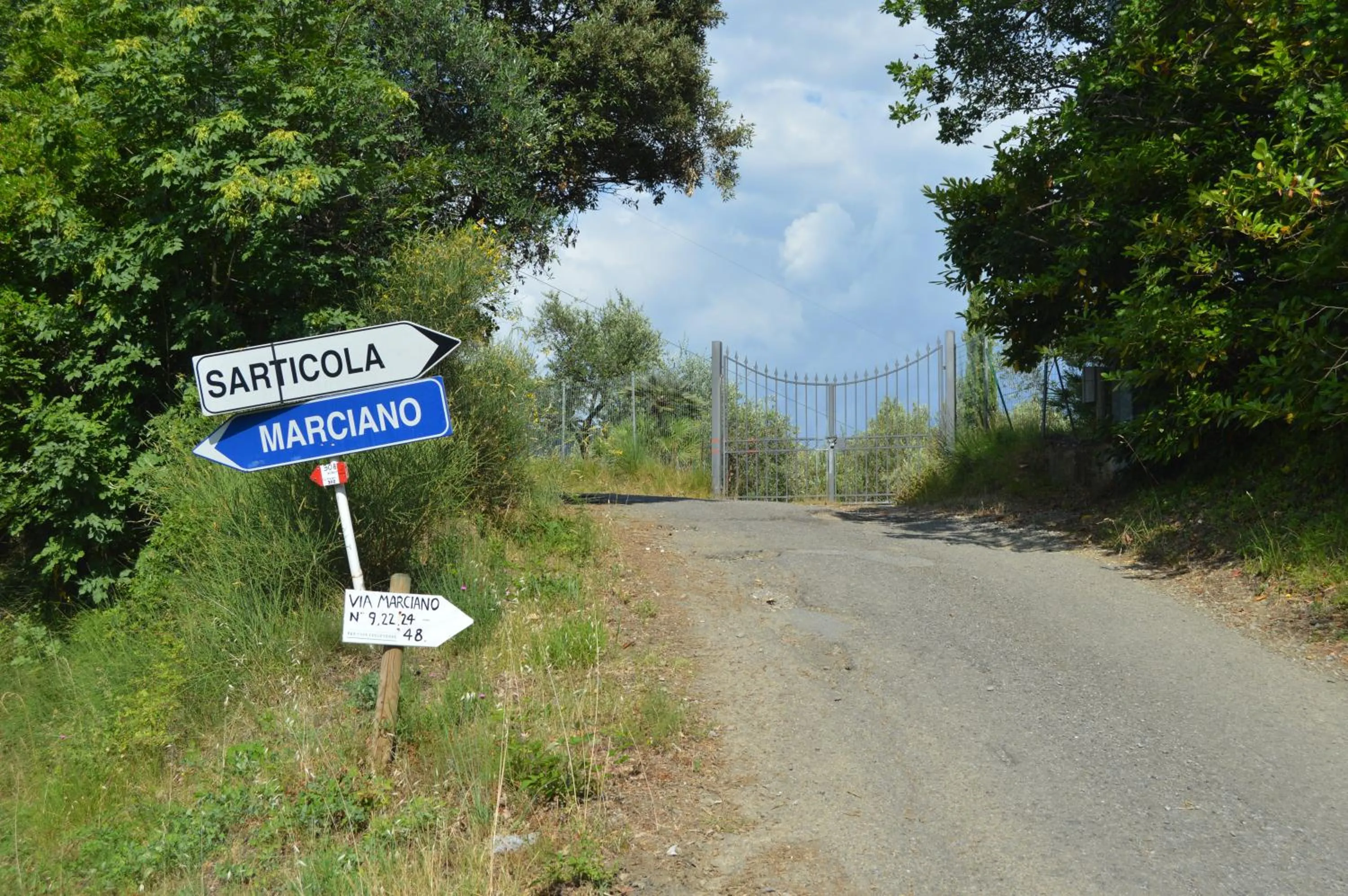Neighbourhood in Casa Sarticola