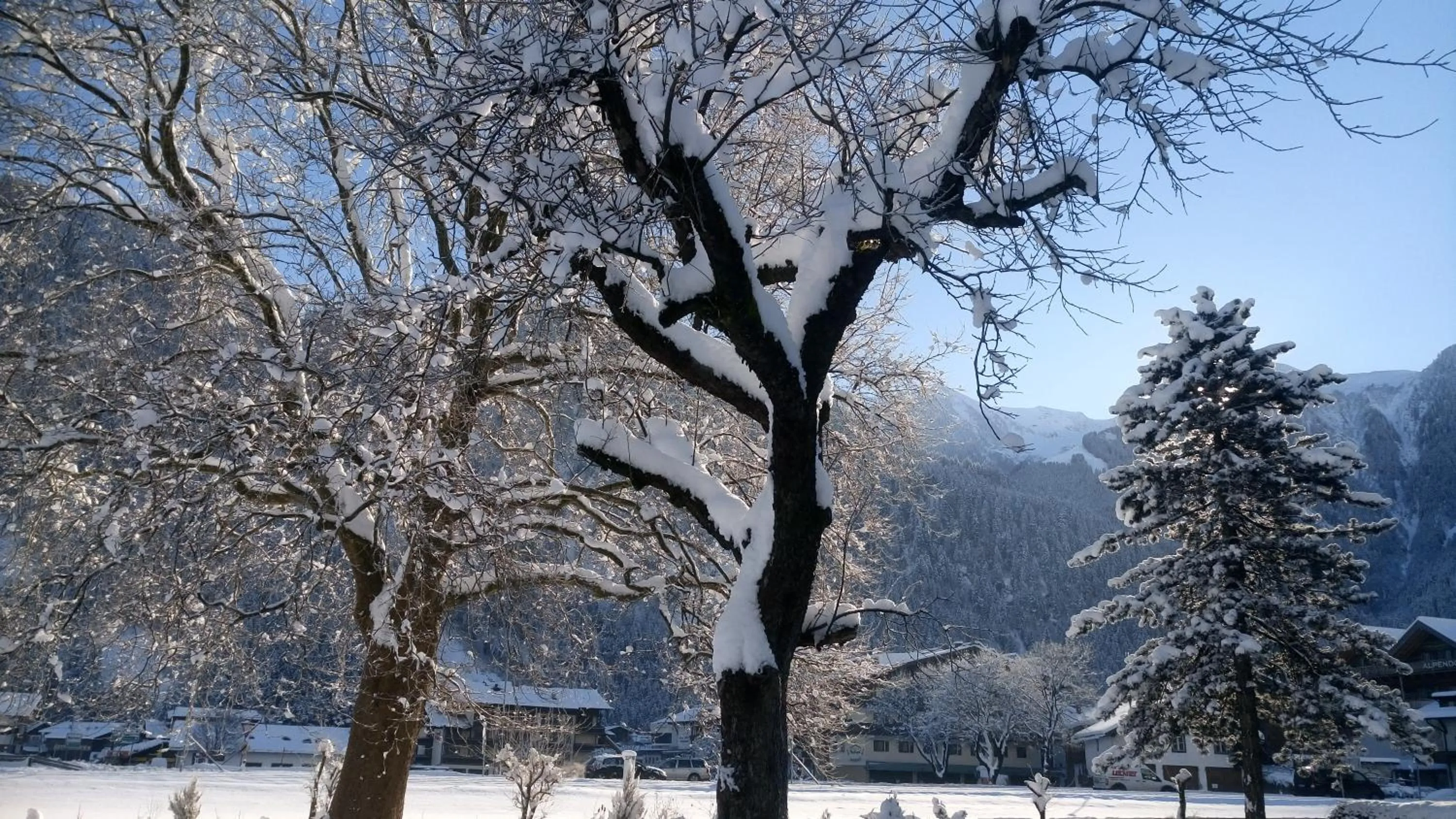 Natural landscape in Hotel Garni Birkenhof