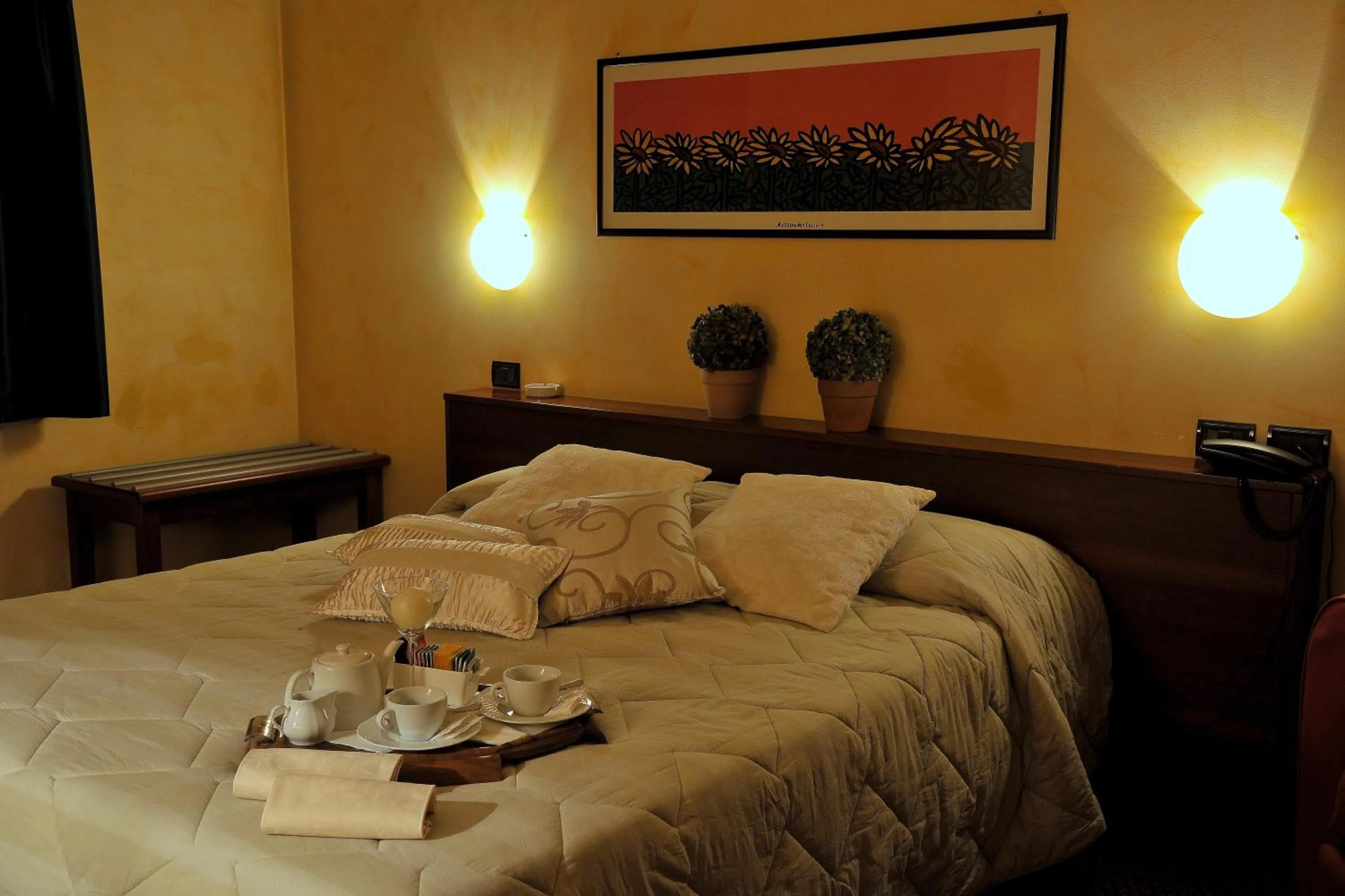 Double Room - Single Use in Hotel Parco