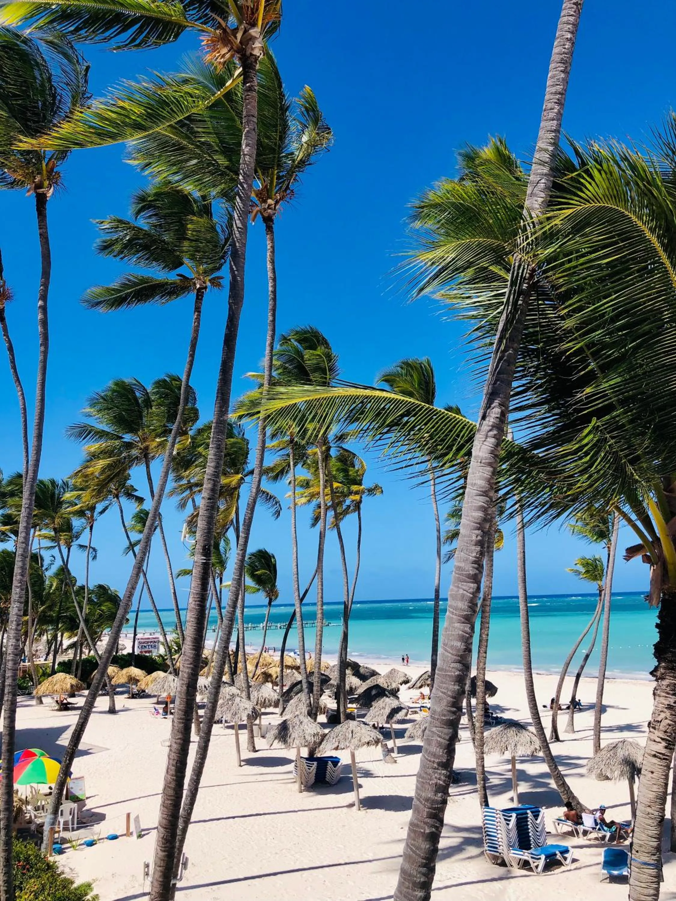Beach in Ducassi Rooftop Pool Suites Beach Club and SPA