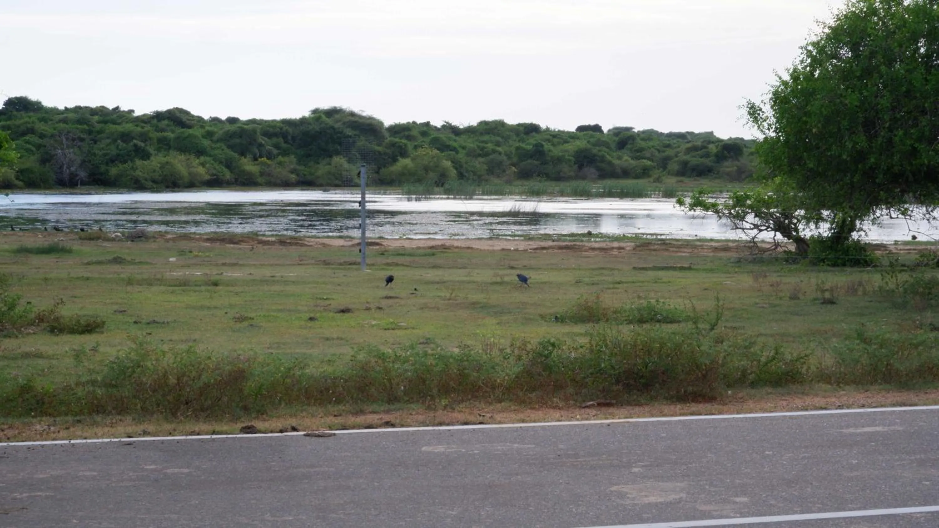 Natural landscape in Attale Resort