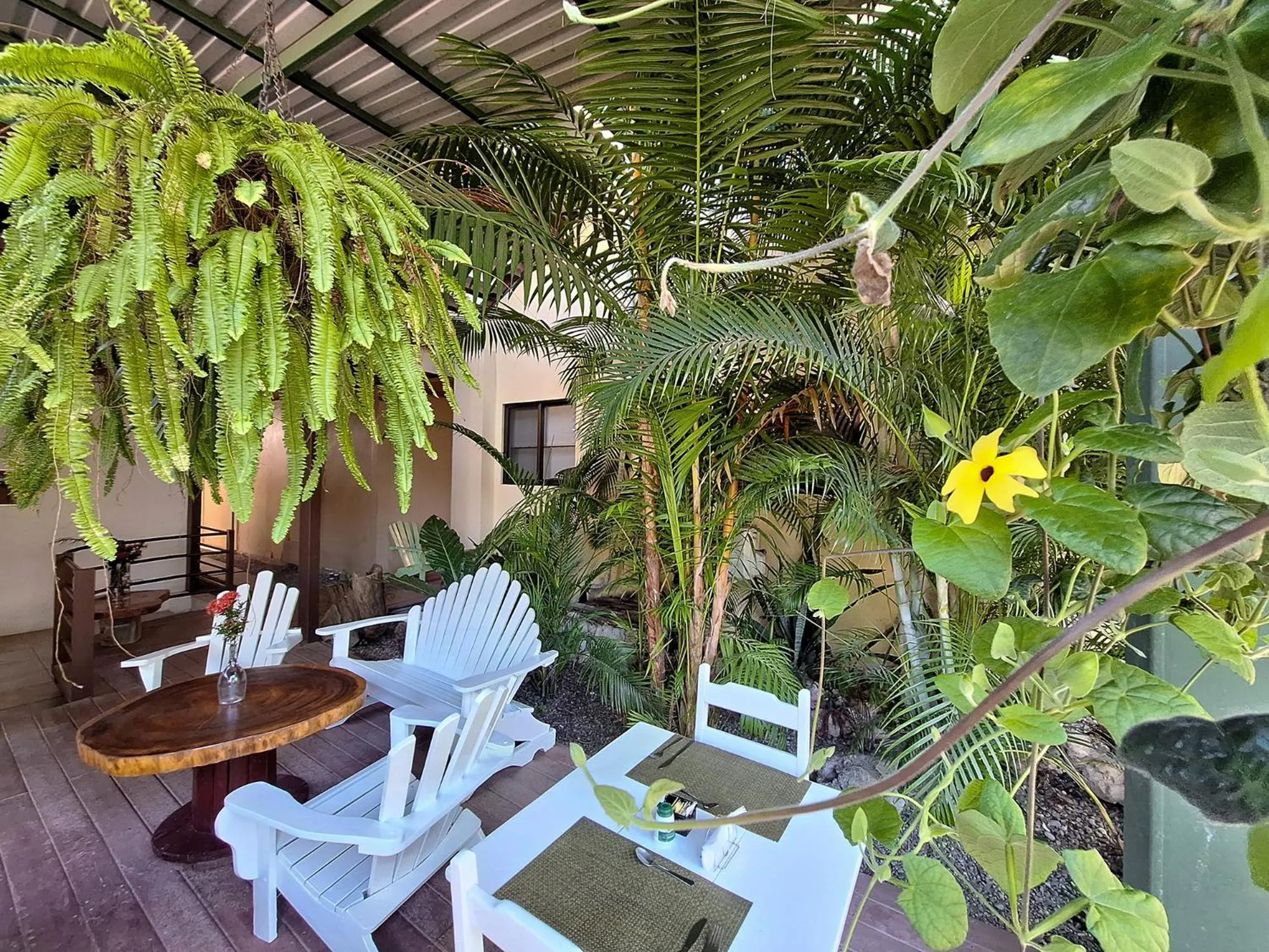 Garden in Infiniti Hotel