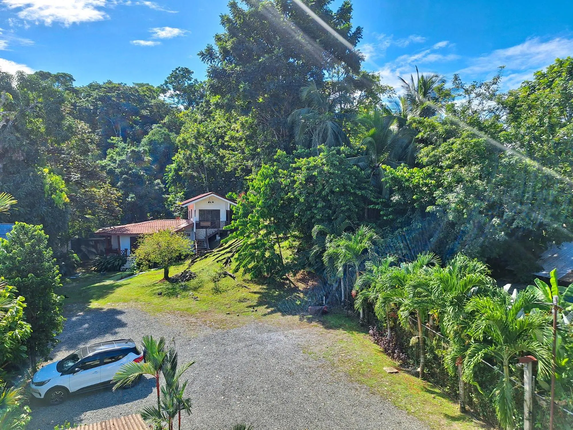 Garden in Infiniti Hotel
