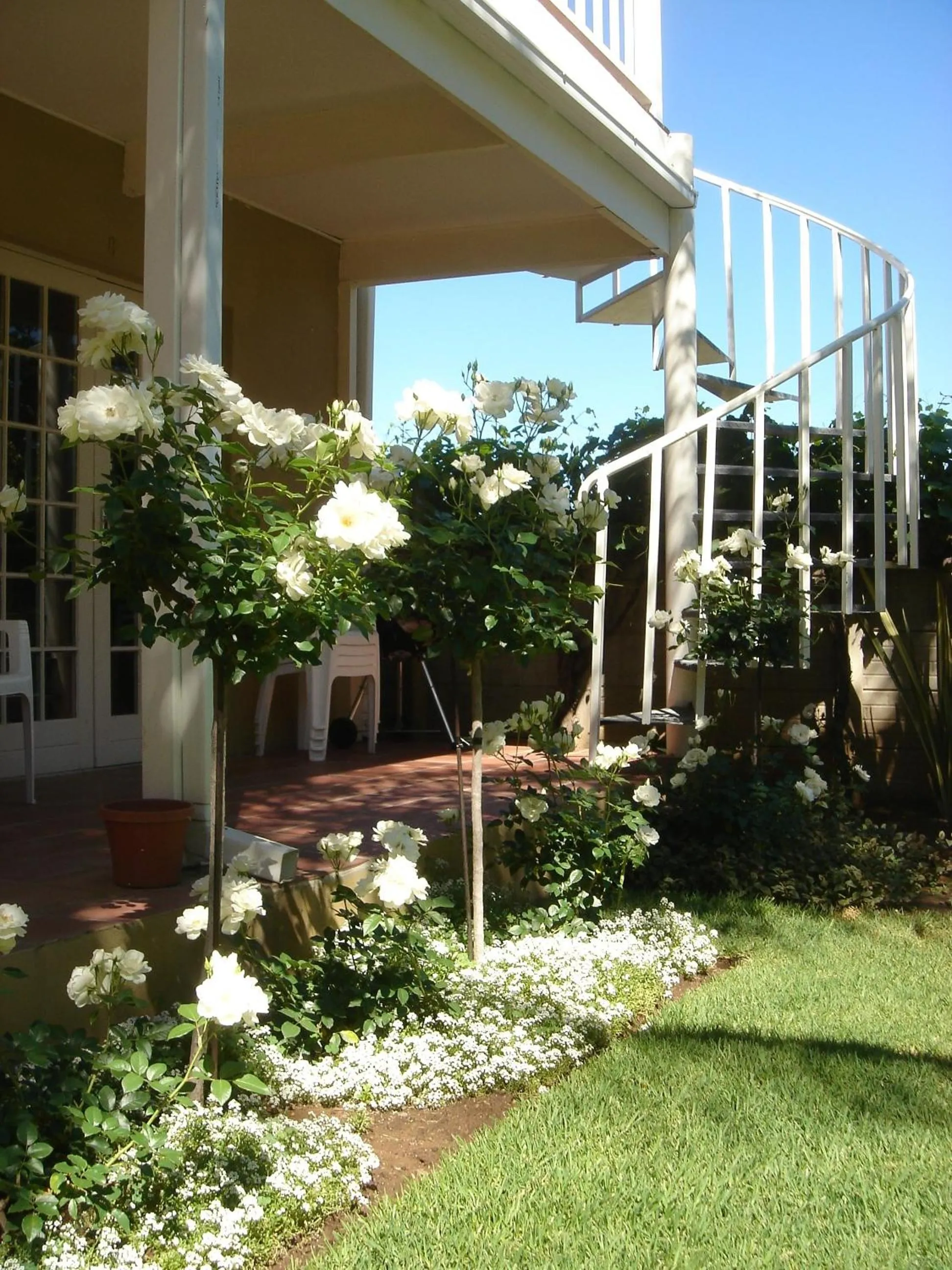 Spring in @Yamkela Guest House