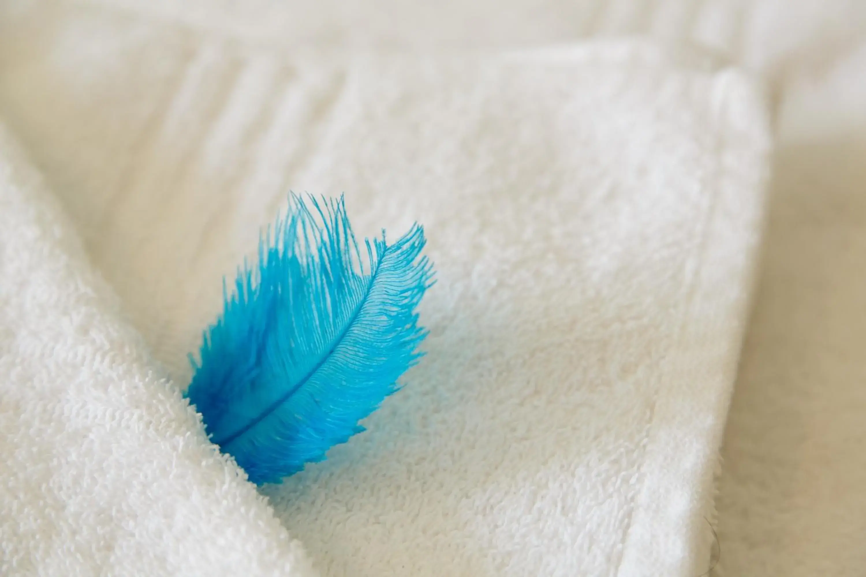 First Floor Two Single Beds Room - single occupancy in @Yamkela Guest House First Floor Two Single Beds Room - single occupancy in @Yamkela Guest House