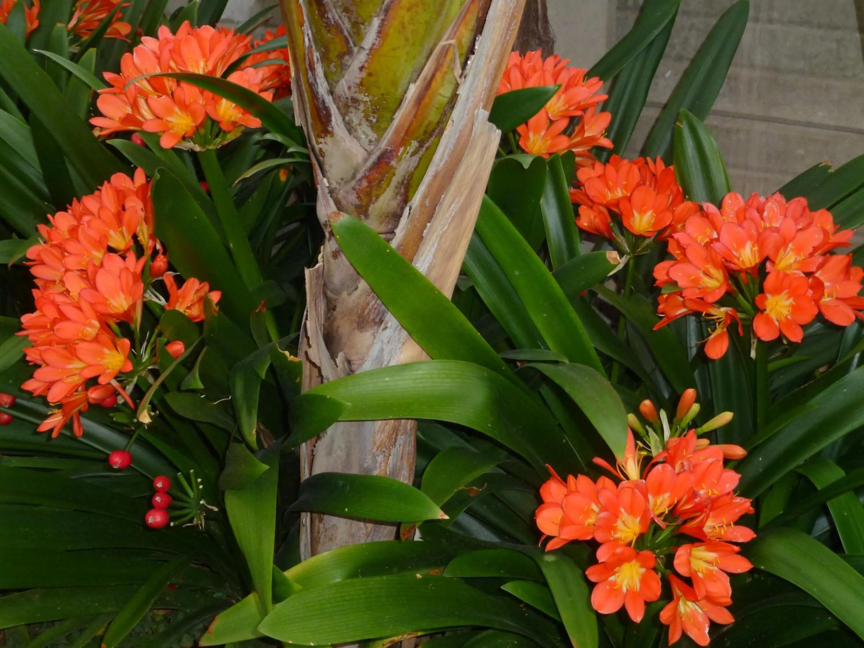 @Yamkela Guest House