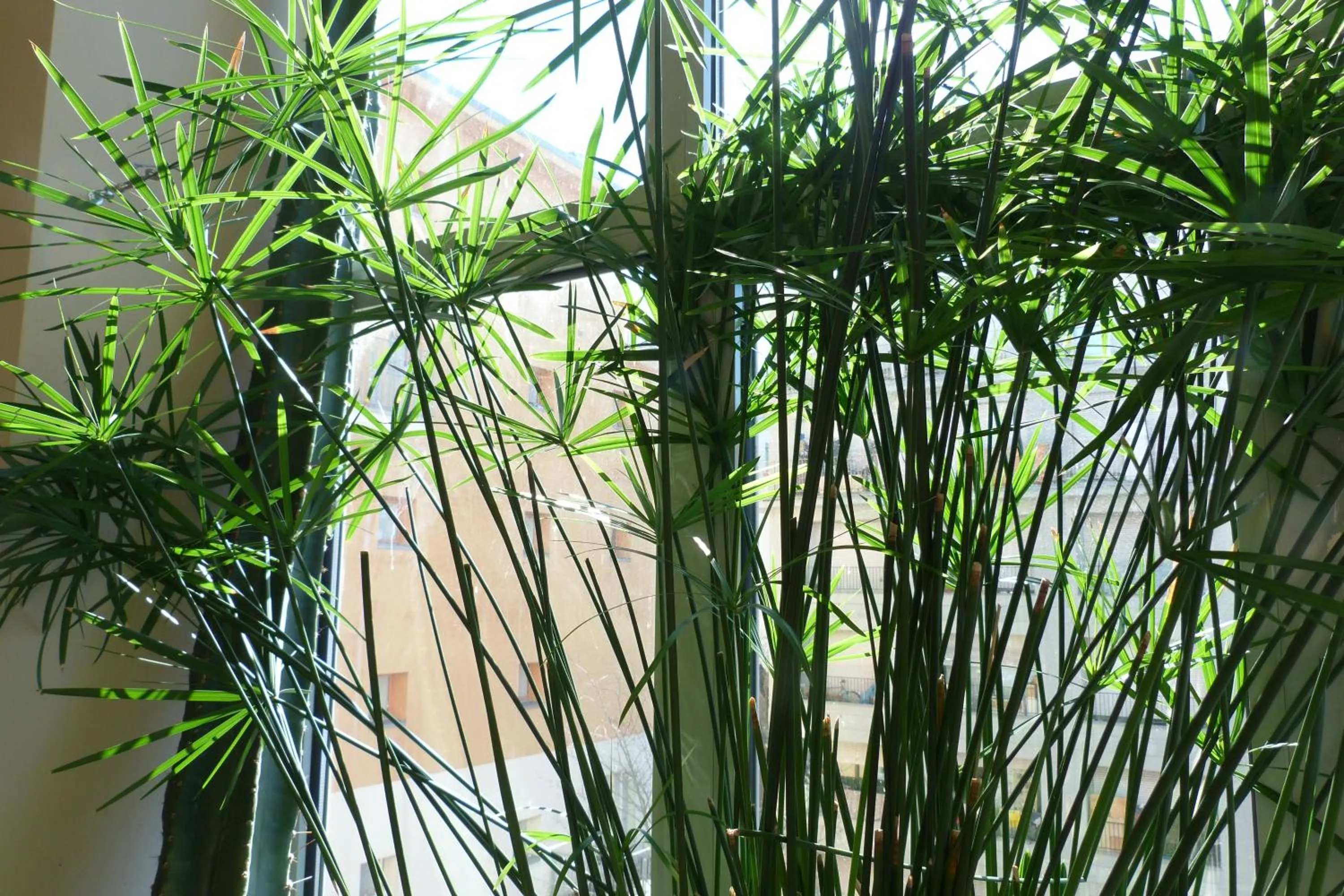 Decorative detail in Ostello Torino