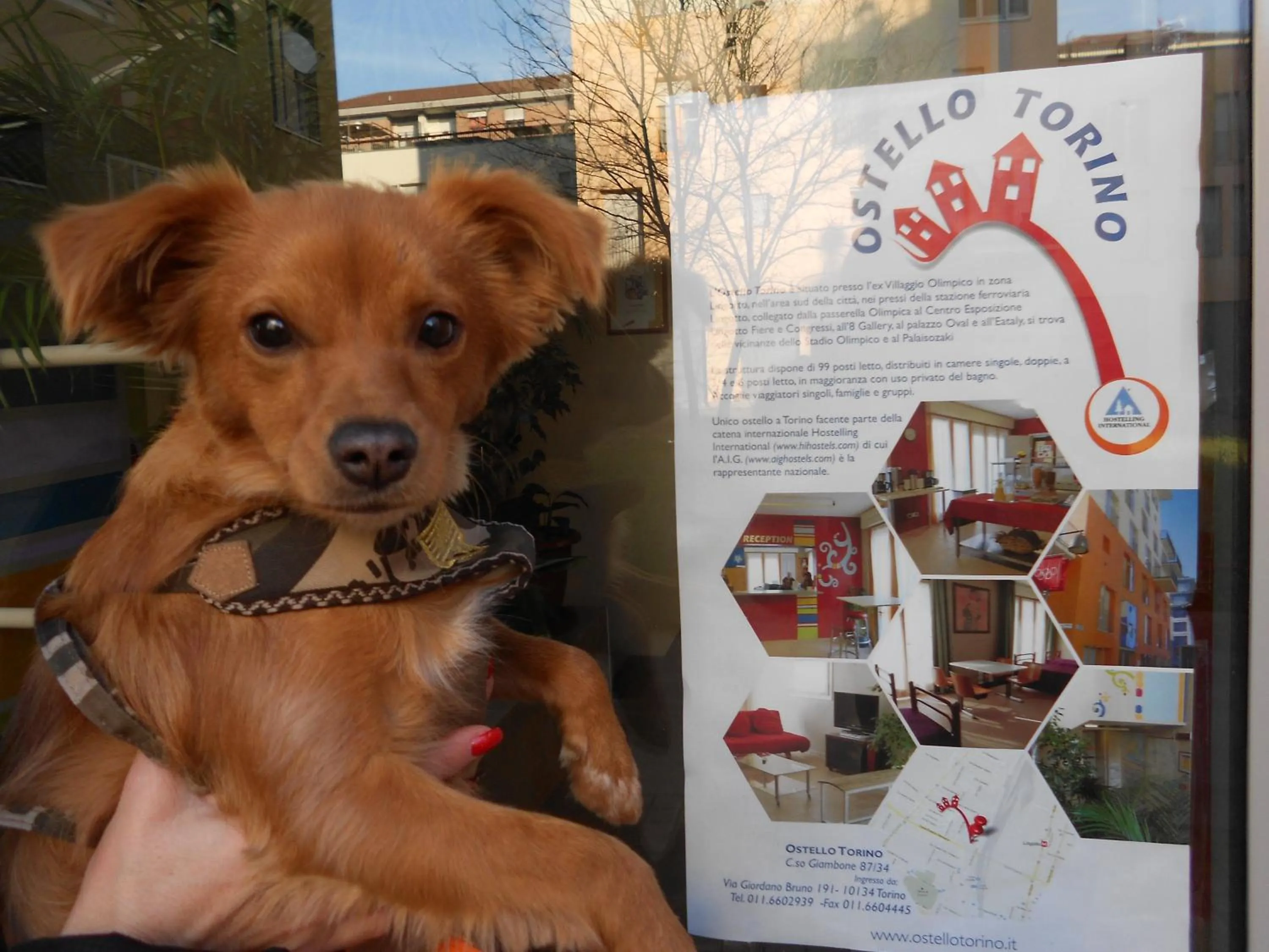 Other in Ostello Torino