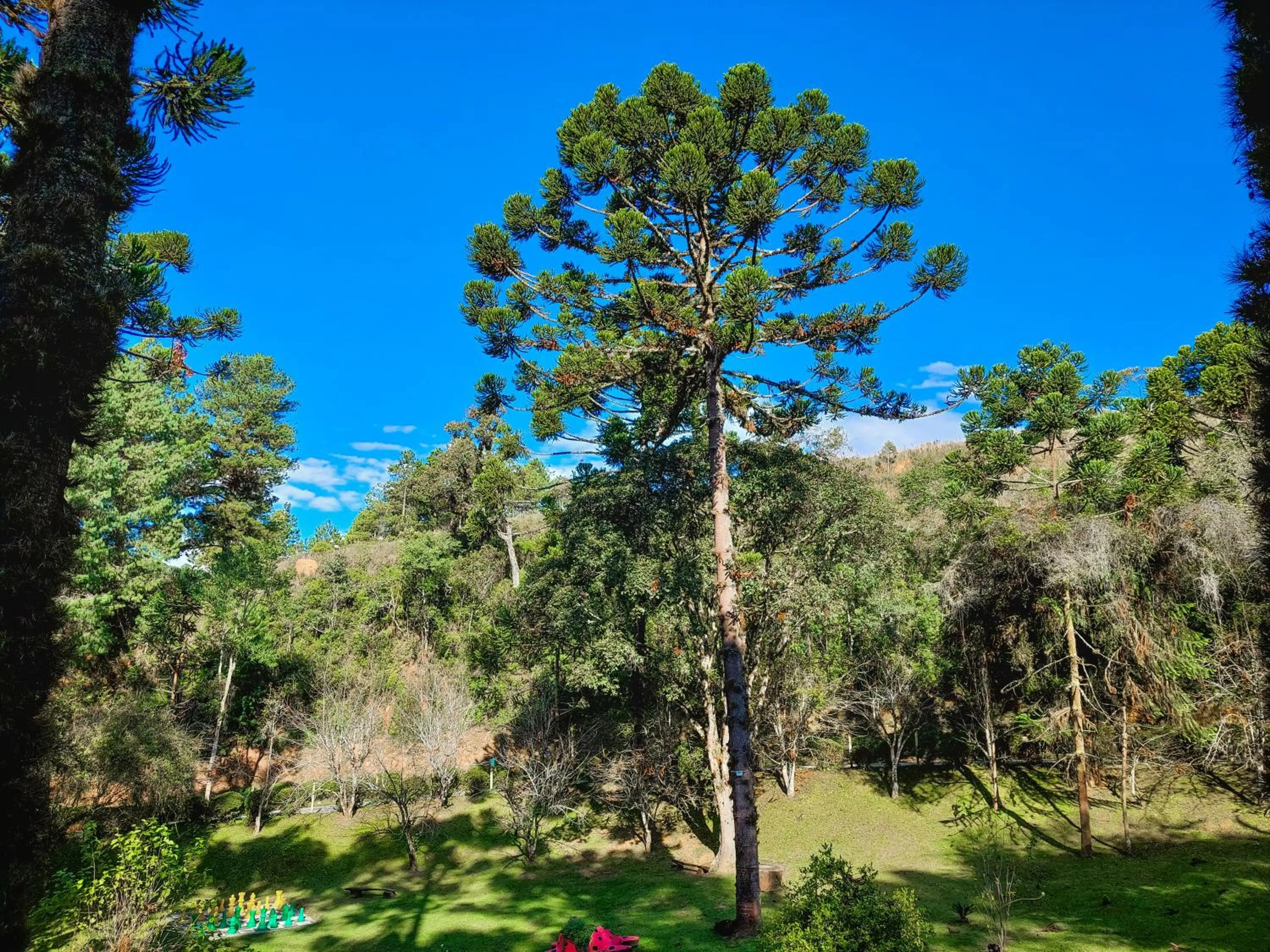 View (from property/room) in Hotel Fazenda Golden Park Campos do Jordão