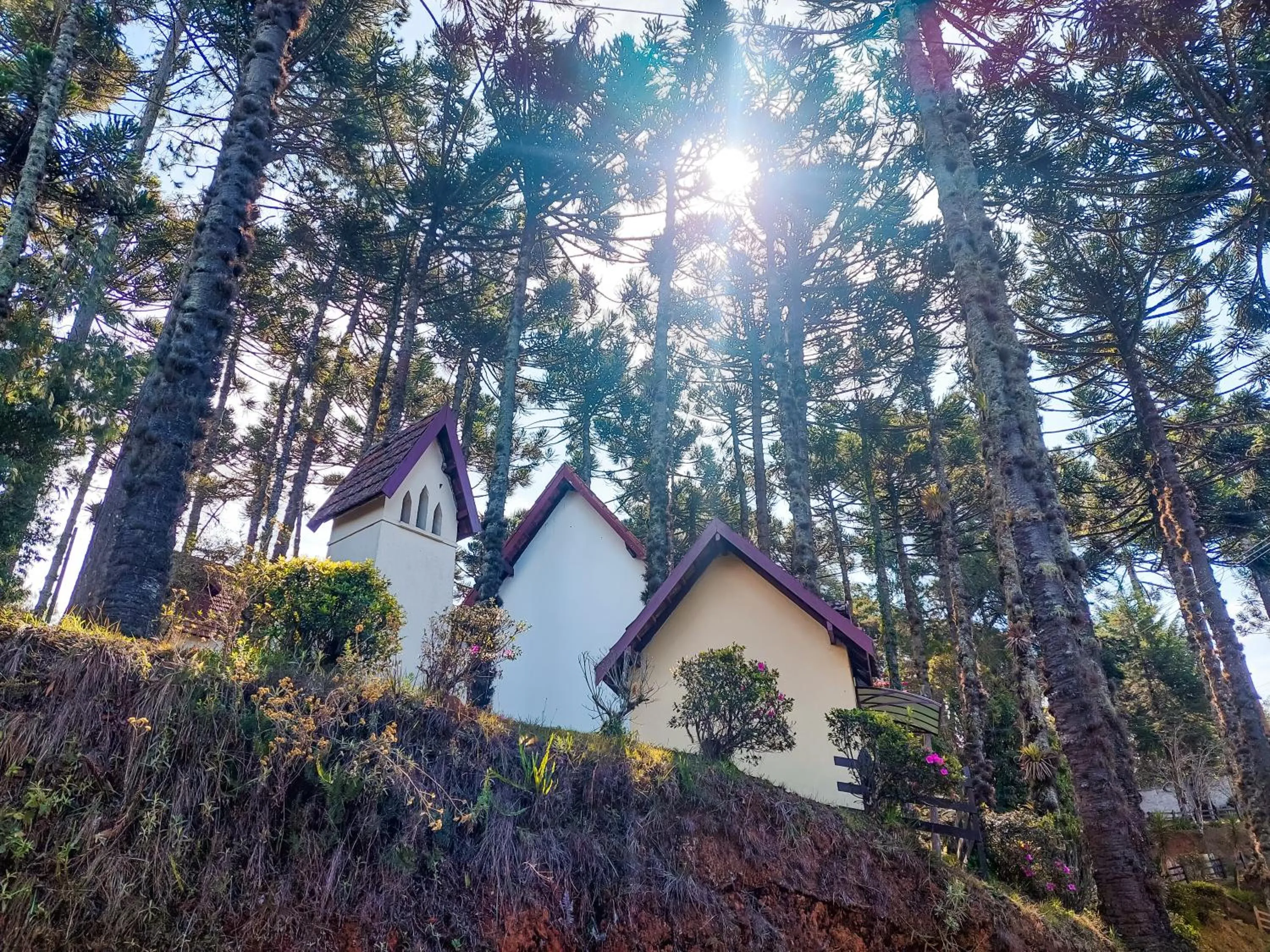 Property building in Hotel Fazenda Golden Park Campos do Jordão