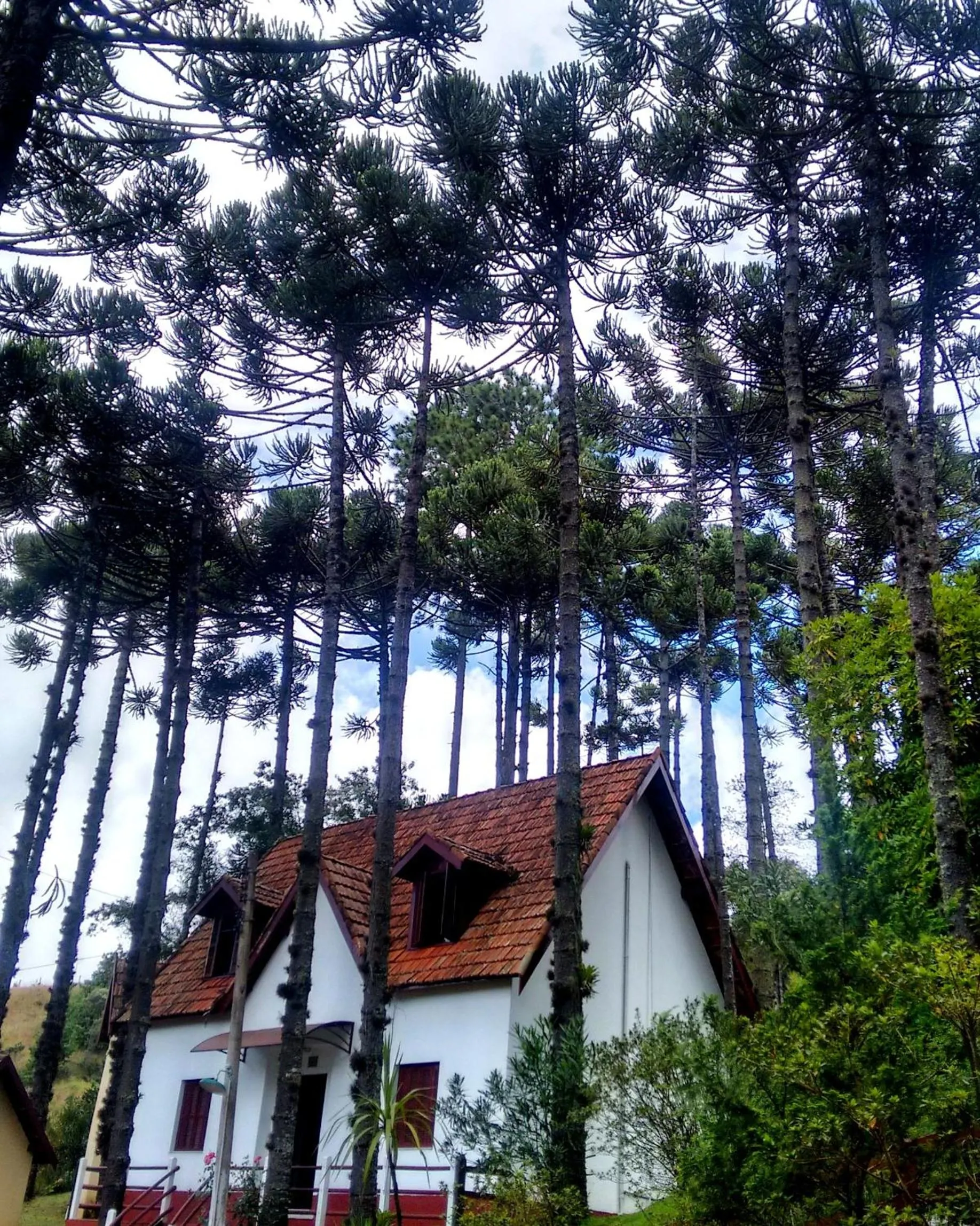 Autumn in Hotel Fazenda Golden Park Campos do Jordão