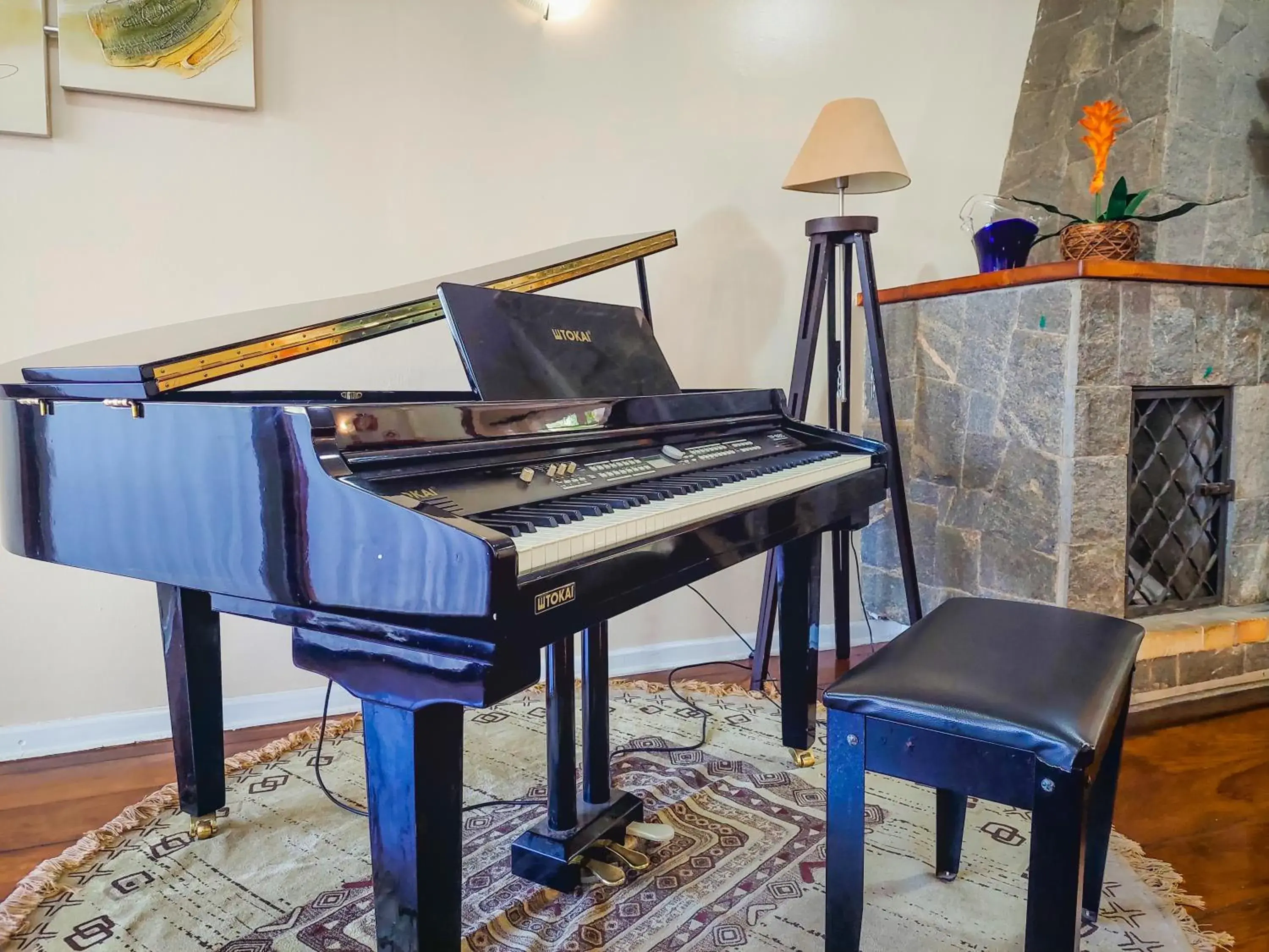 Living room in Hotel Fazenda Golden Park Campos do Jordão Living room in Hotel Fazenda Golden Park Campos do Jordão