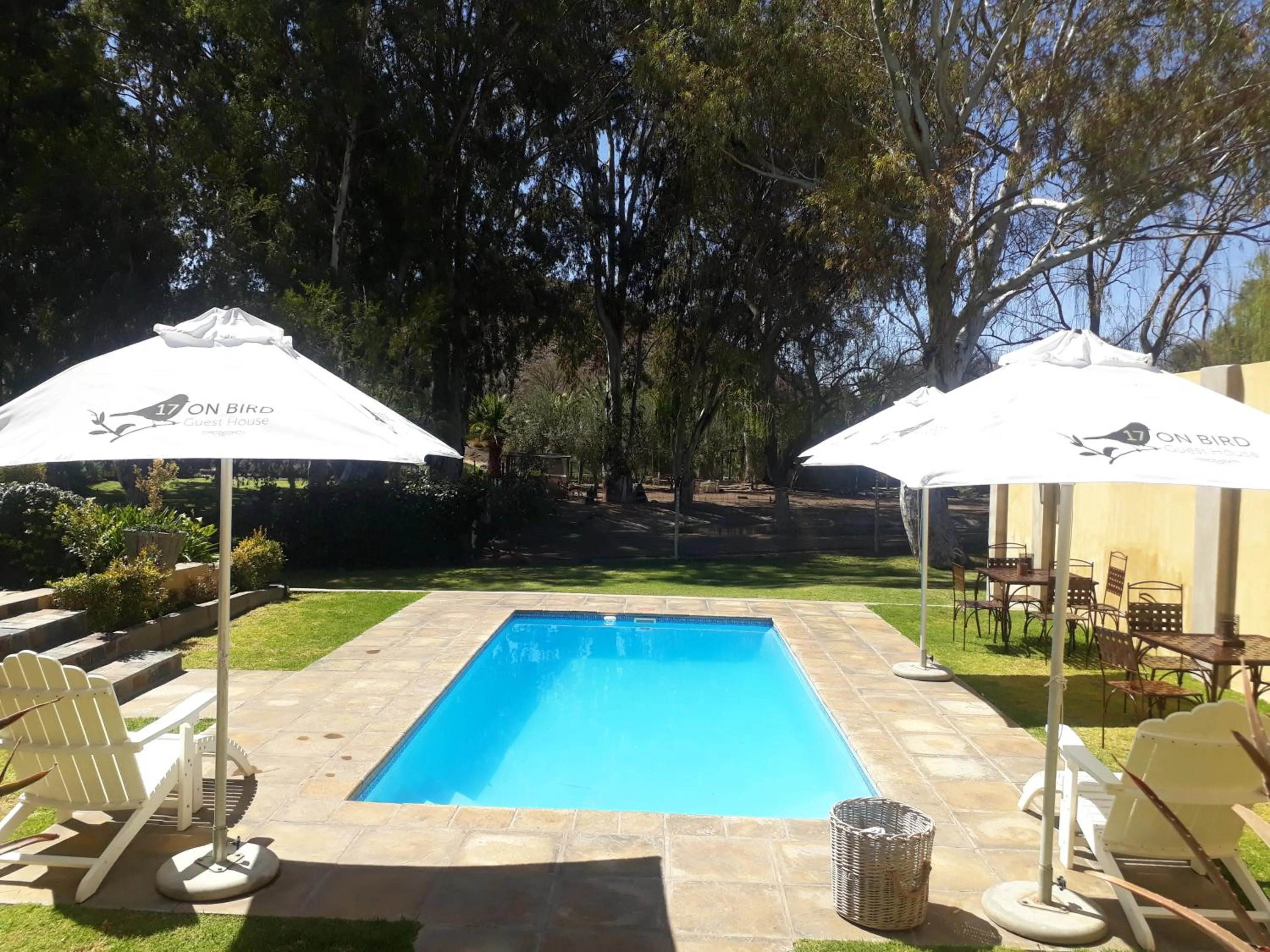 Swimming pool in 17 on Bird Guest House