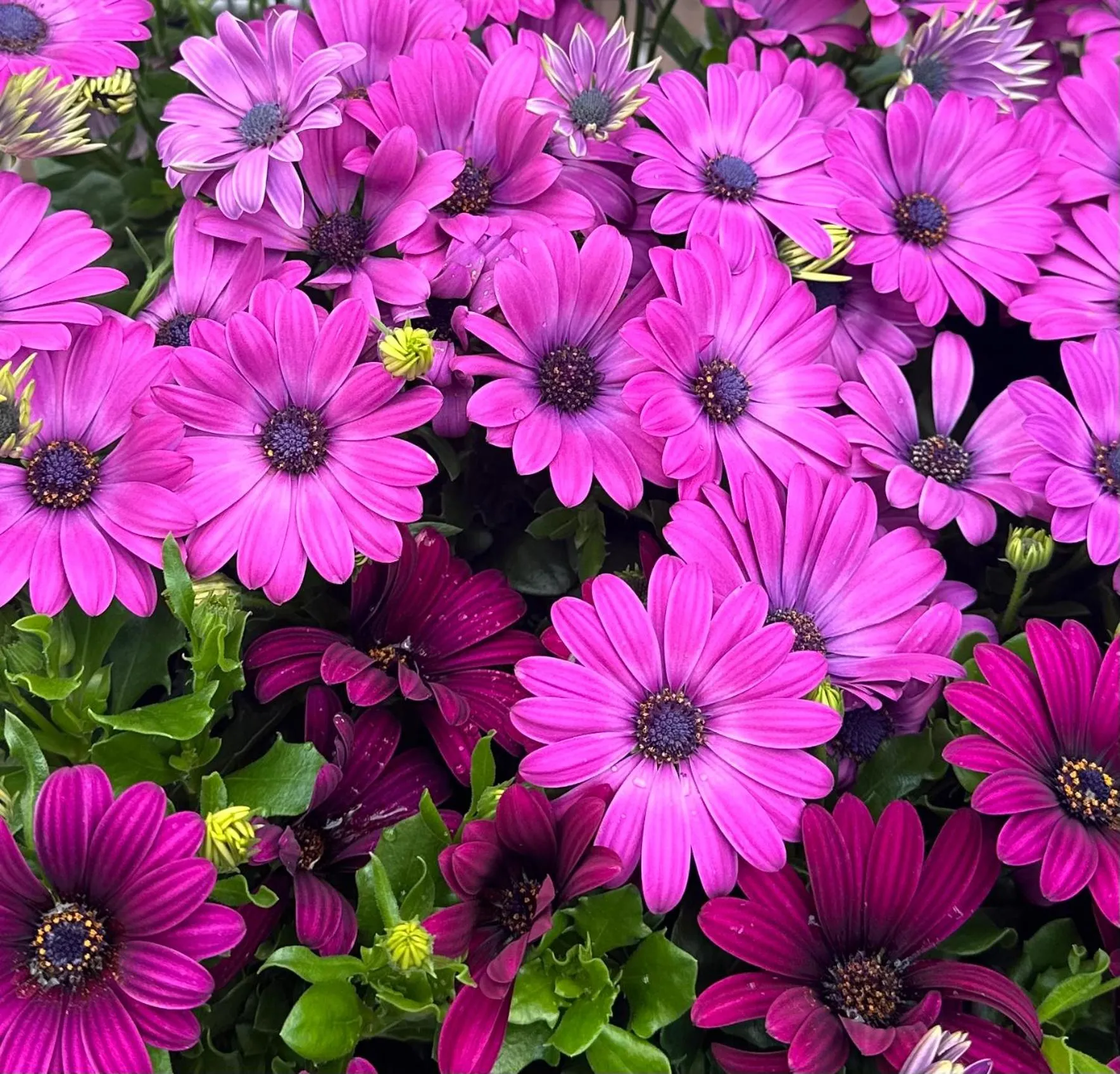 Selvbetjent leilighetshotell på Ålgård