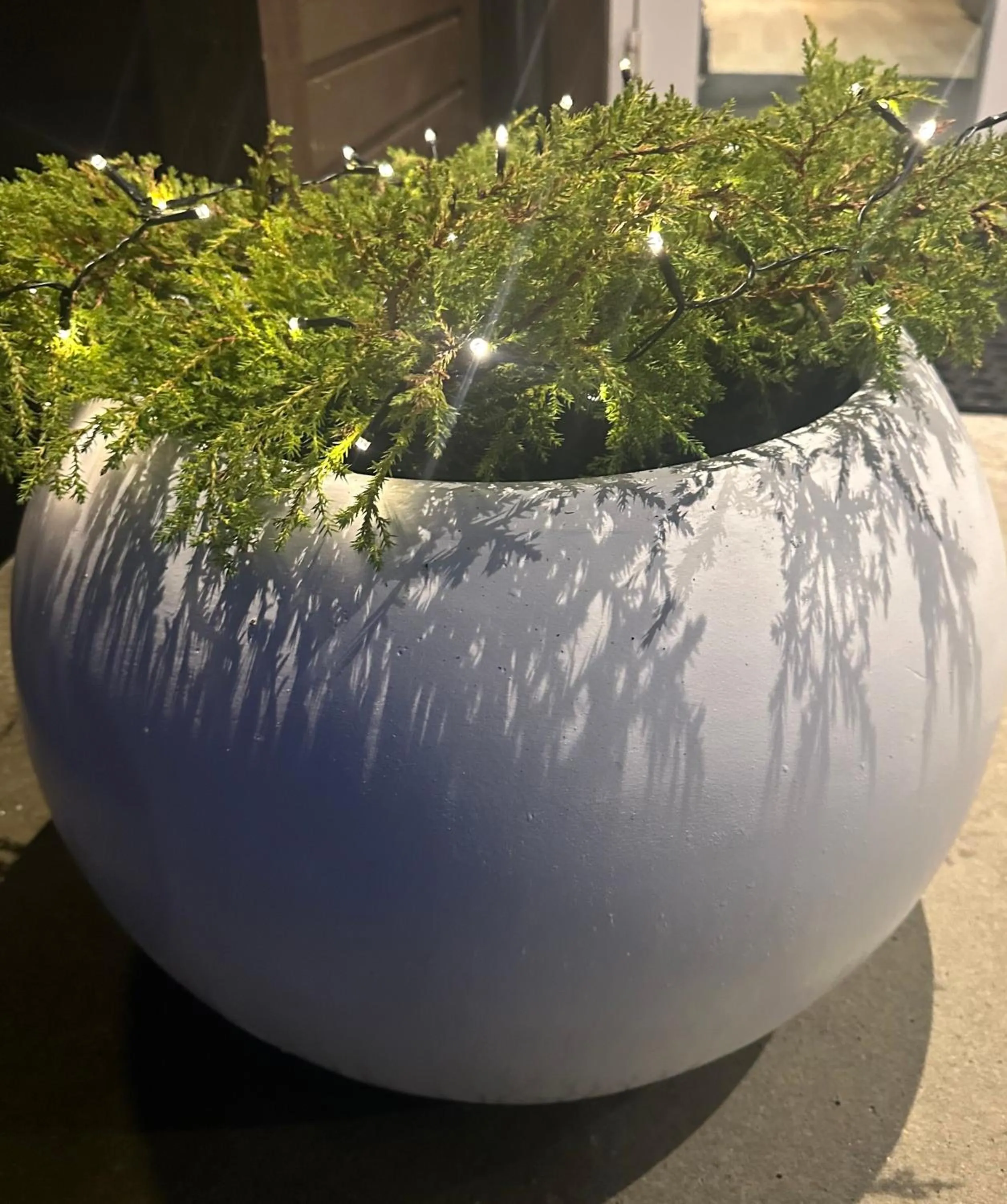 Garden in Selvbetjent leilighetshotell på Ålgård