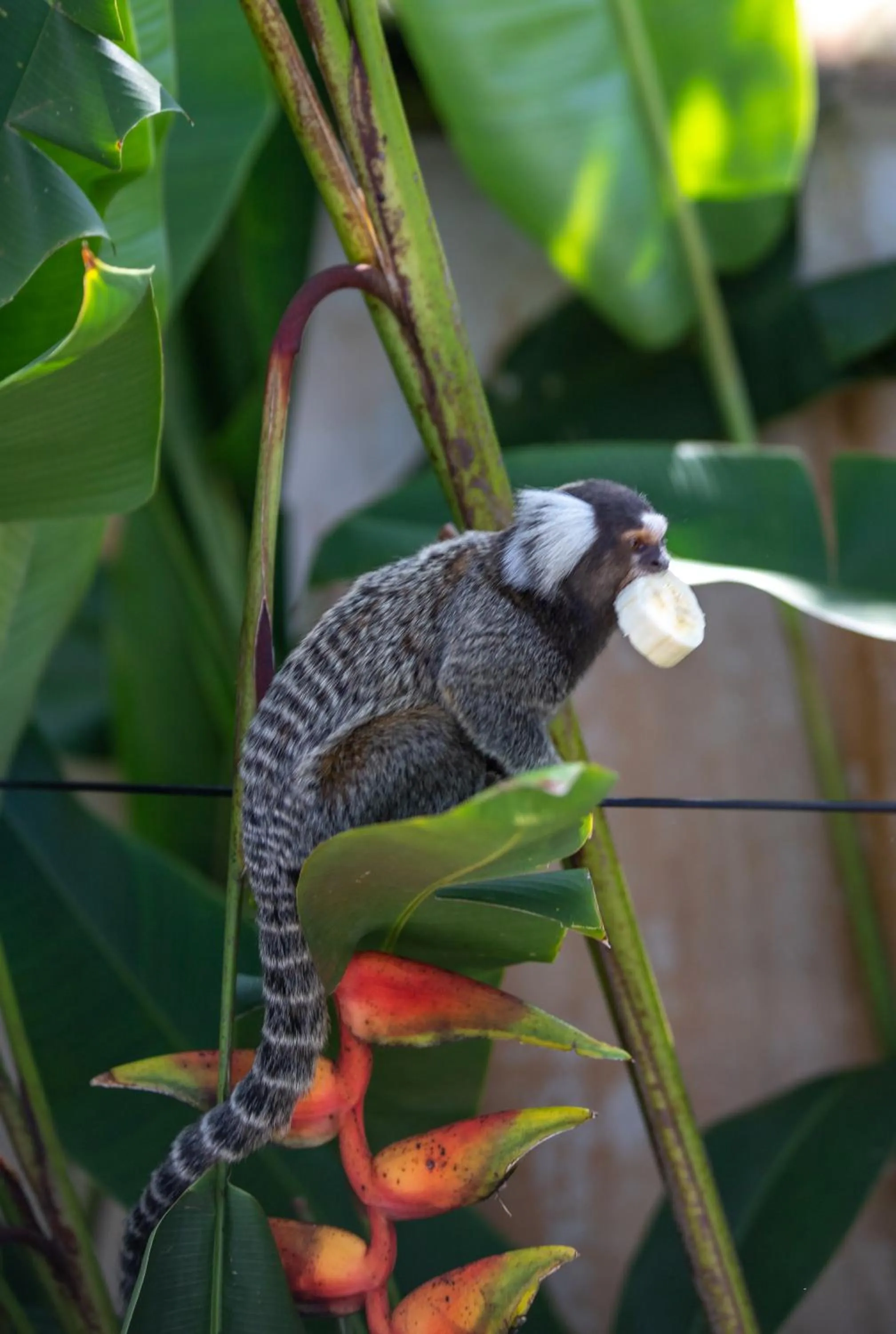 Pousada Recanto Jota Ge