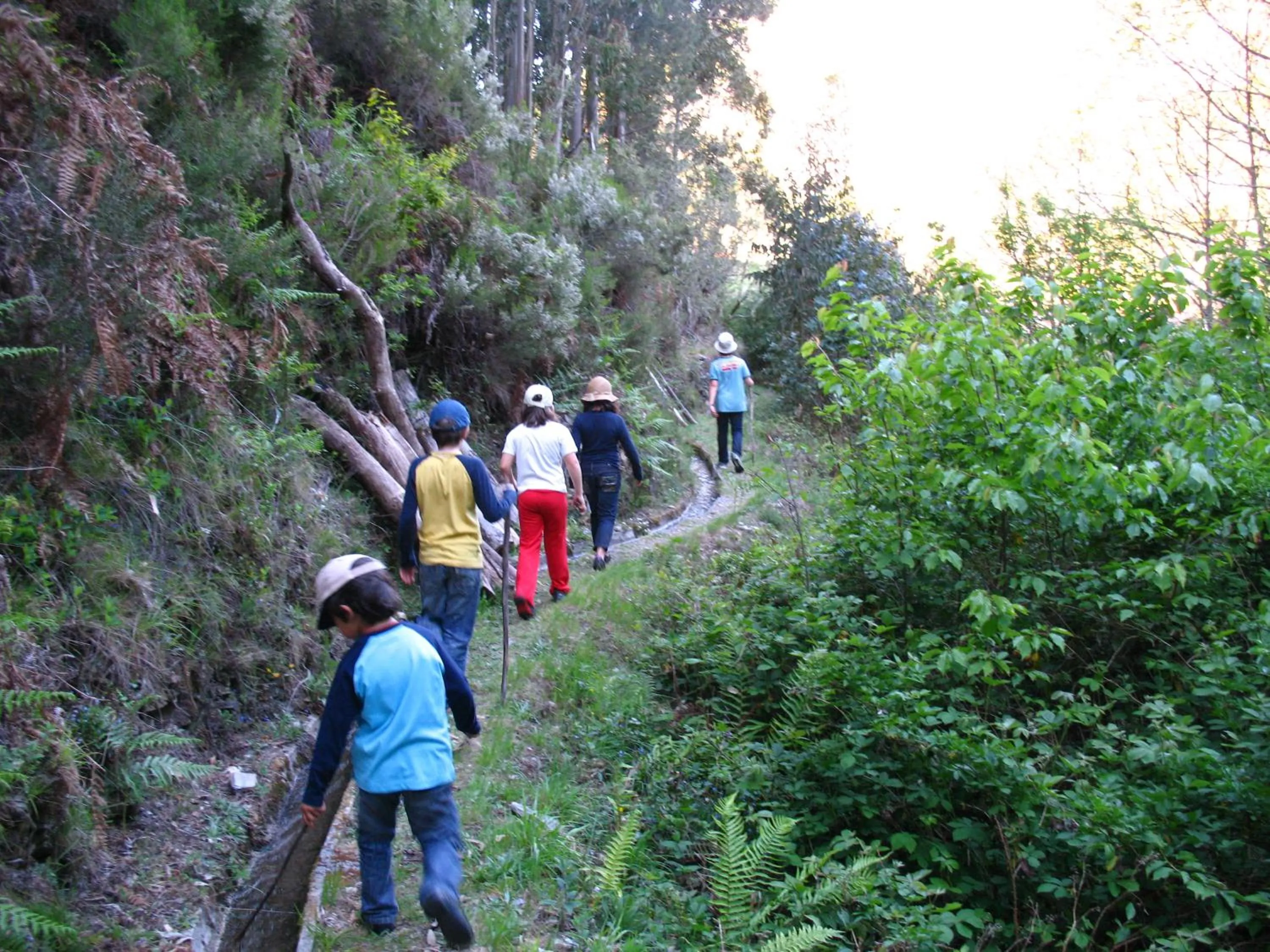 Activities in Casa do Neveiro