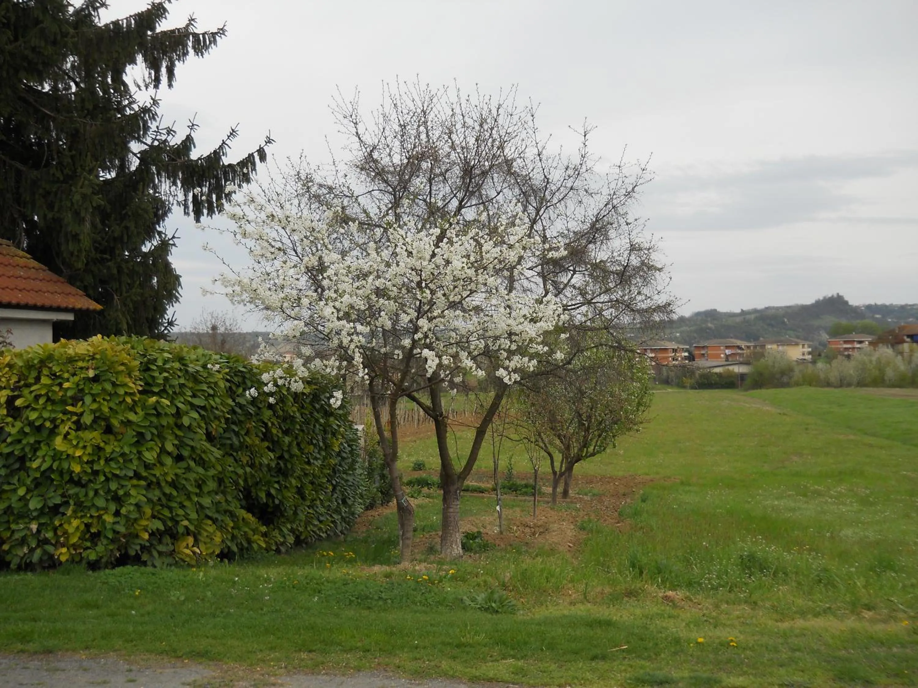 Natural landscape in Bed And Breakfast Il Garoch