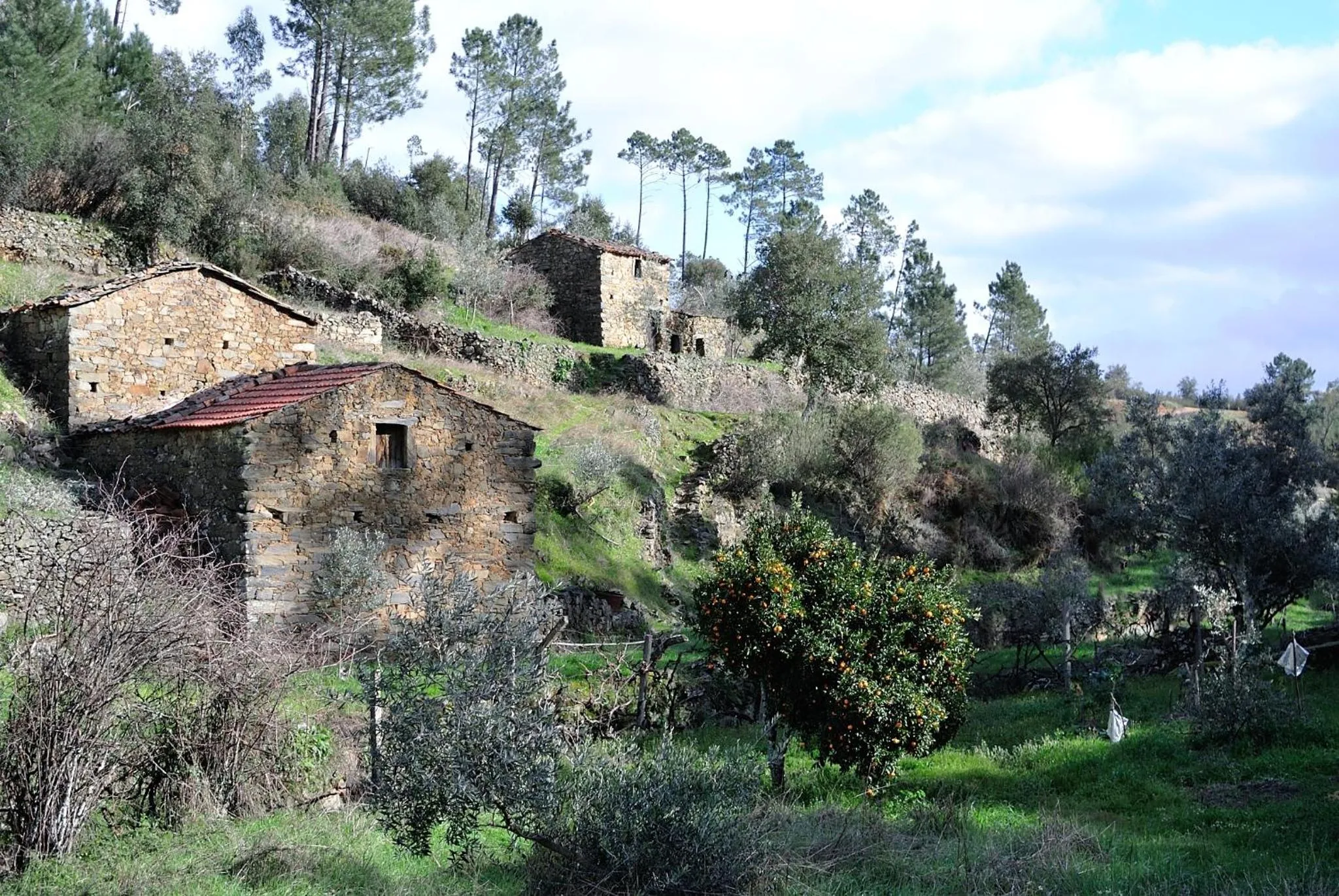 Facade/entrance in Casas da Encosta