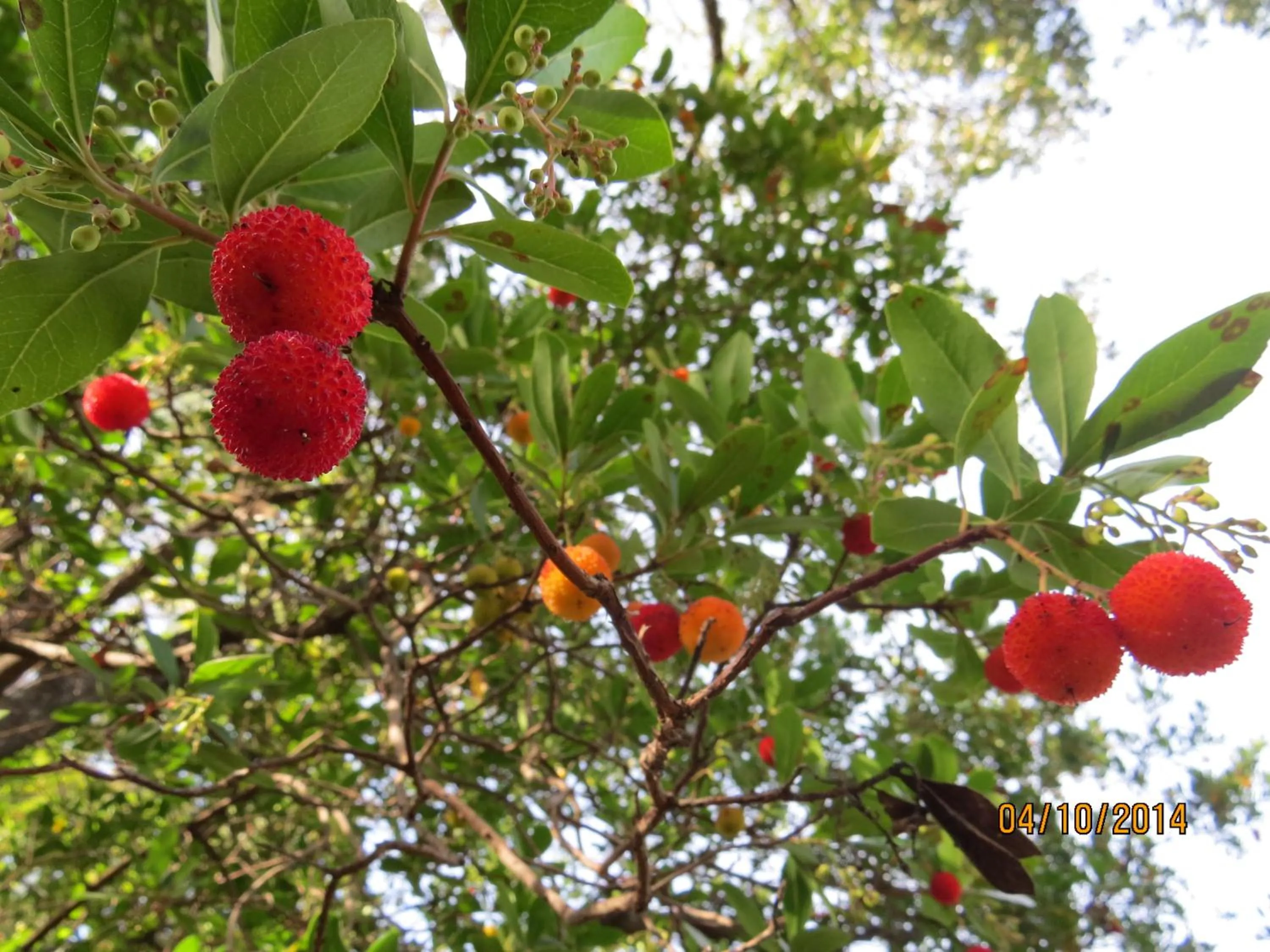 Natural landscape in Casas da Encosta