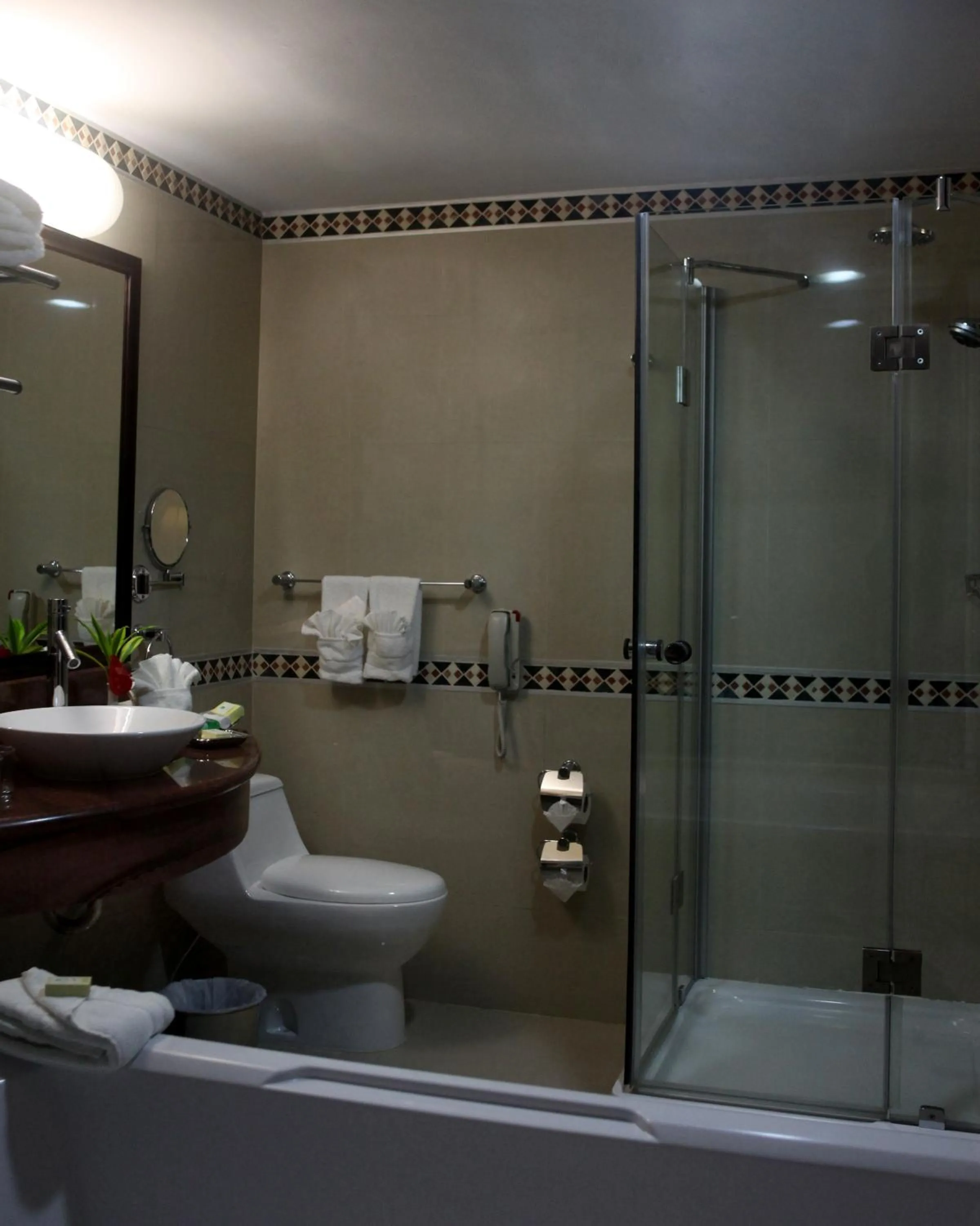 Bathroom in EXECUTIVE SUITES VALENCIA-Venezuela