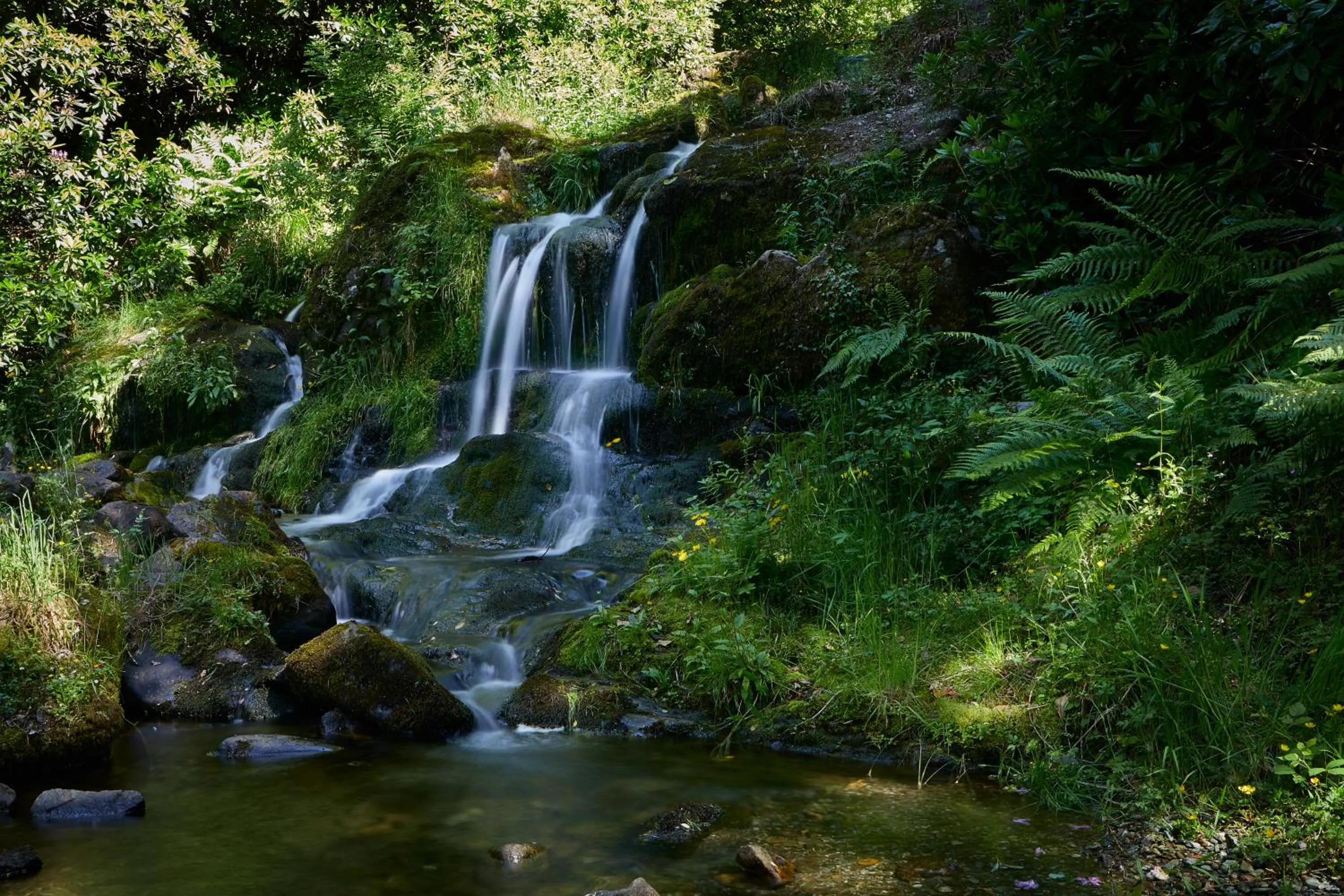 Natural landscape in Macdonald Forest Hills Hotel & Spa