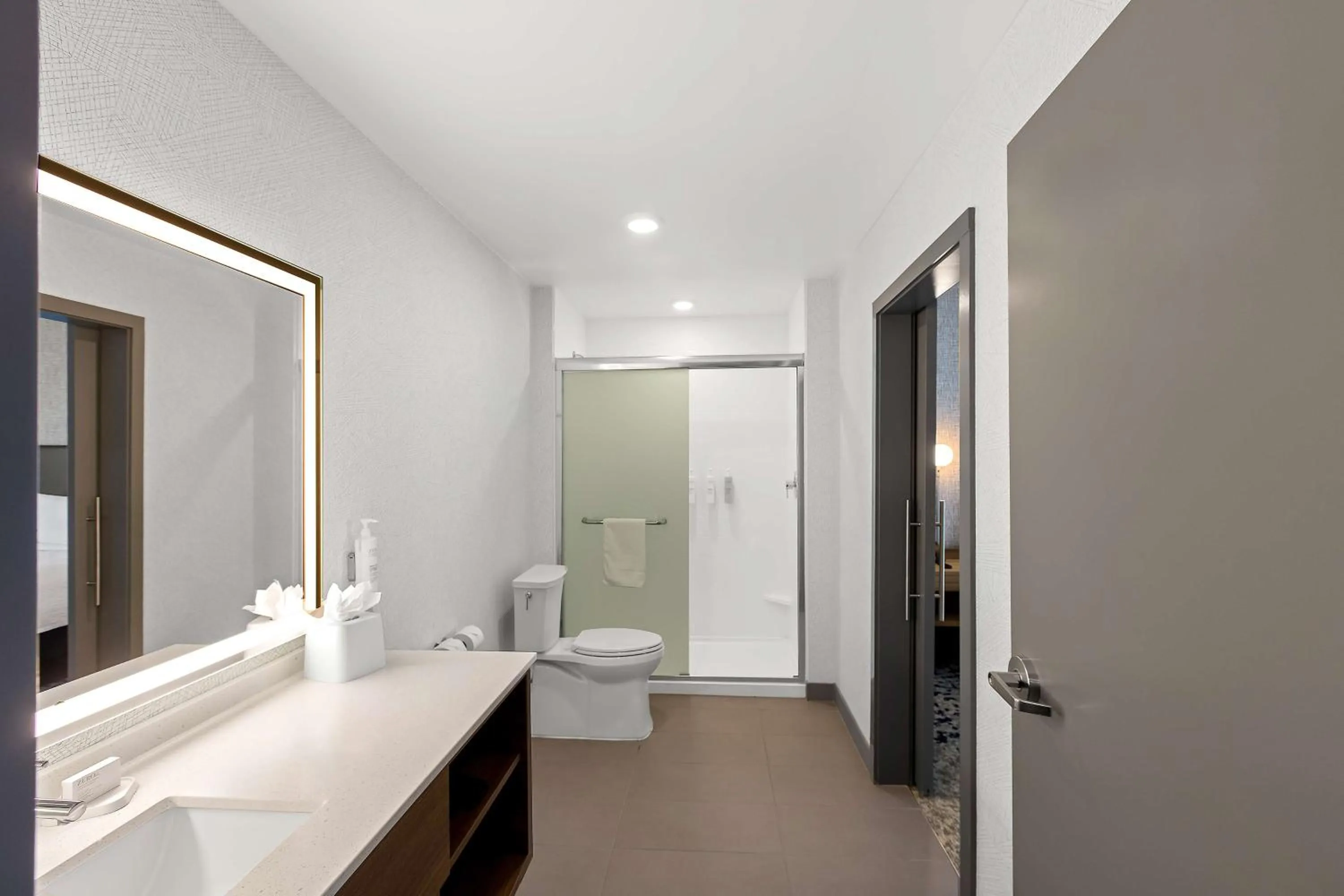 Bathroom in Home2 Suites By Hilton Hendersonville