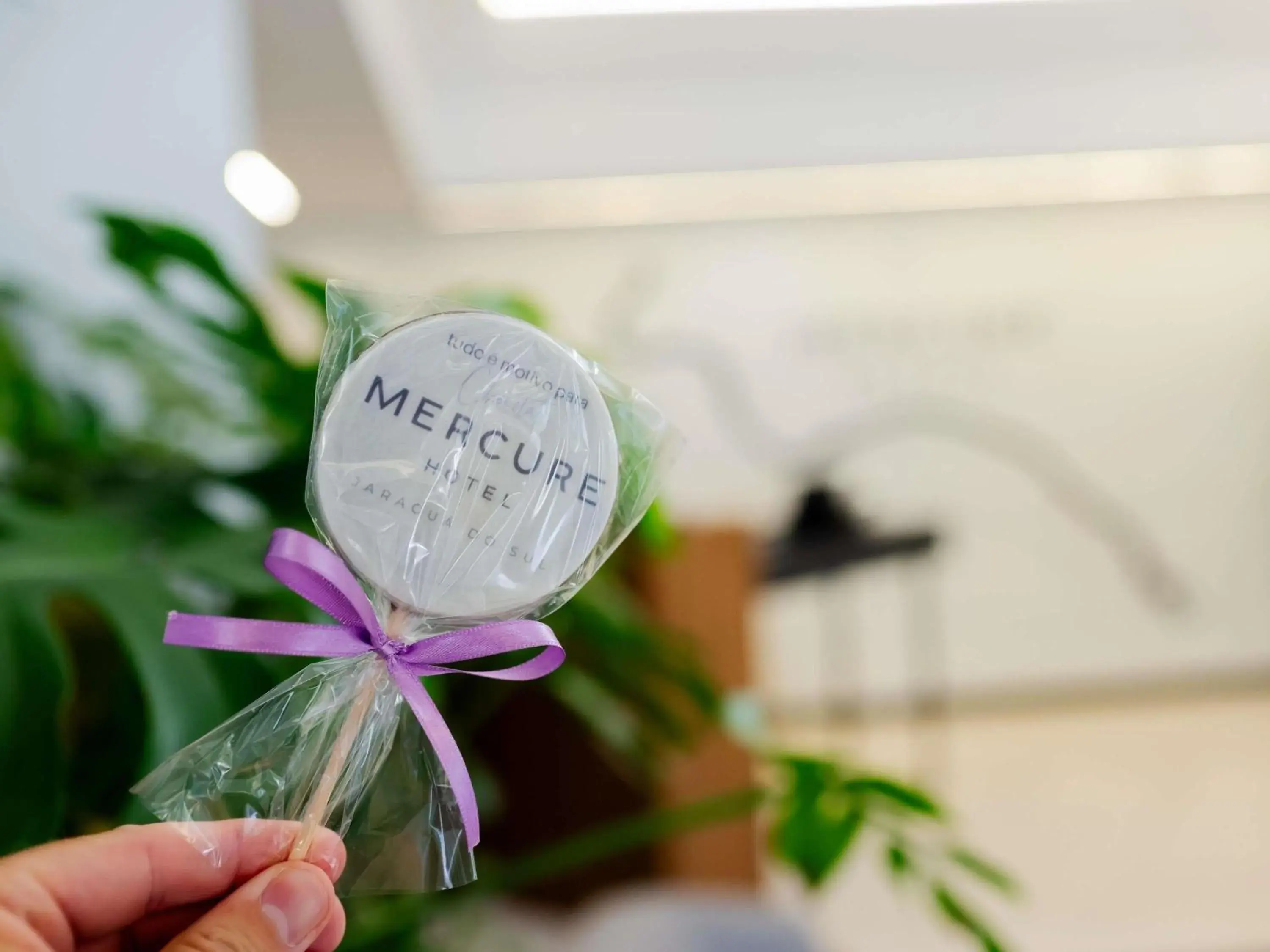 Property building in Mercure Jaragua do Sul Property building in Mercure Jaragua do Sul