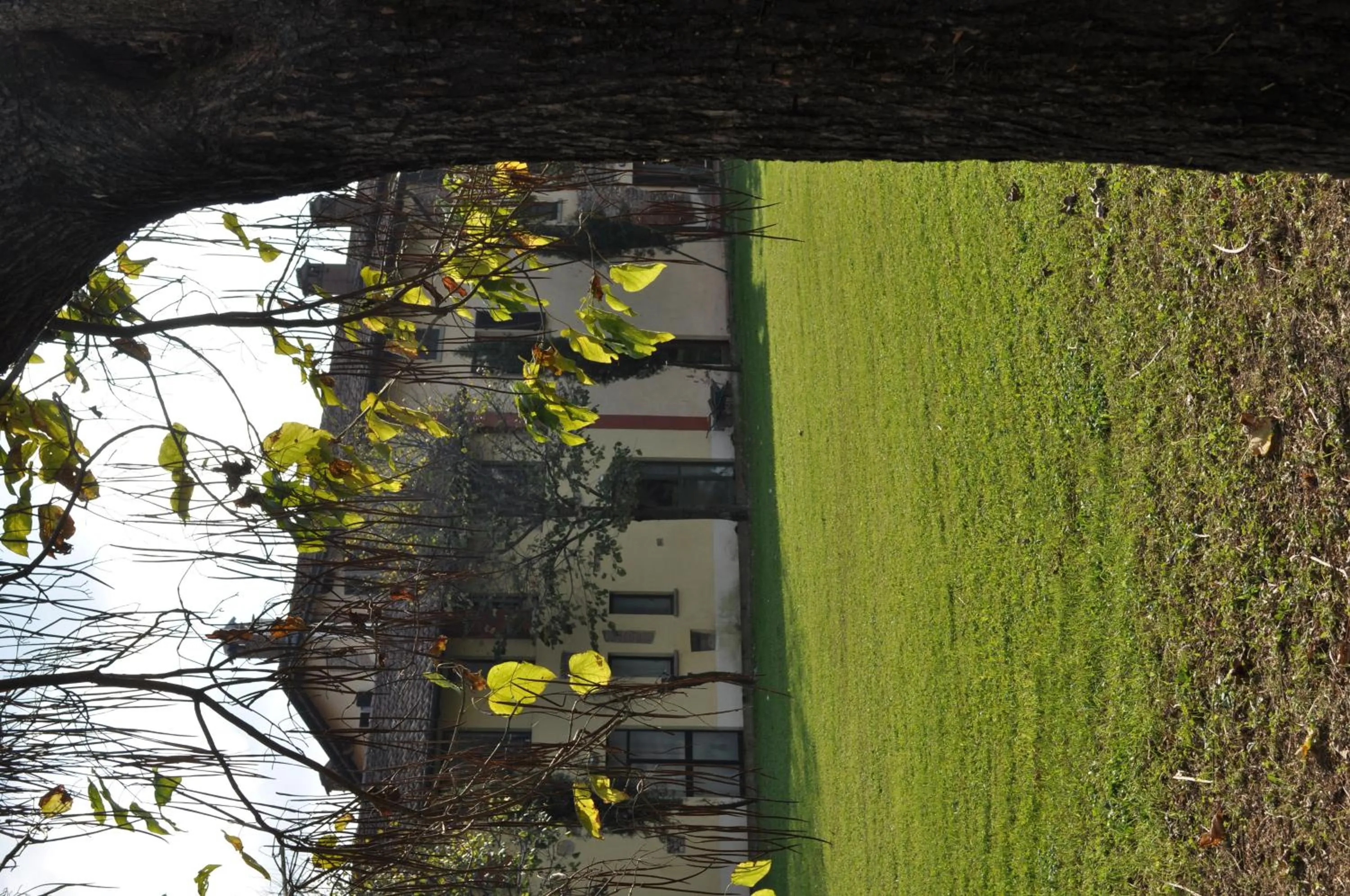 Facade/entrance in Le Residenze del Tenore