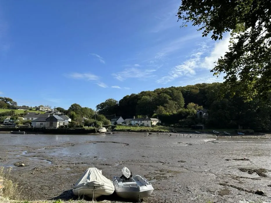 Other in The Ship Inn Lerryn