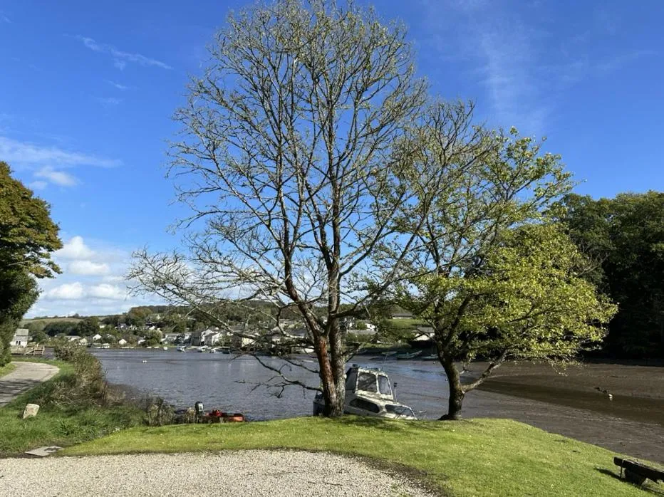 Other in The Ship Inn Lerryn