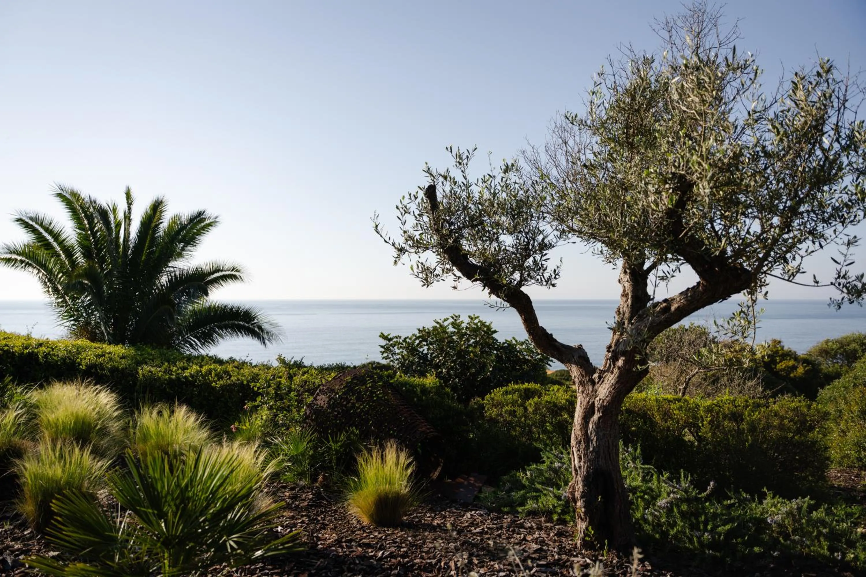 Swimming pool in Casa Pôr do Sal - Boutique Guesthouse with Heated Pool & Sea Views