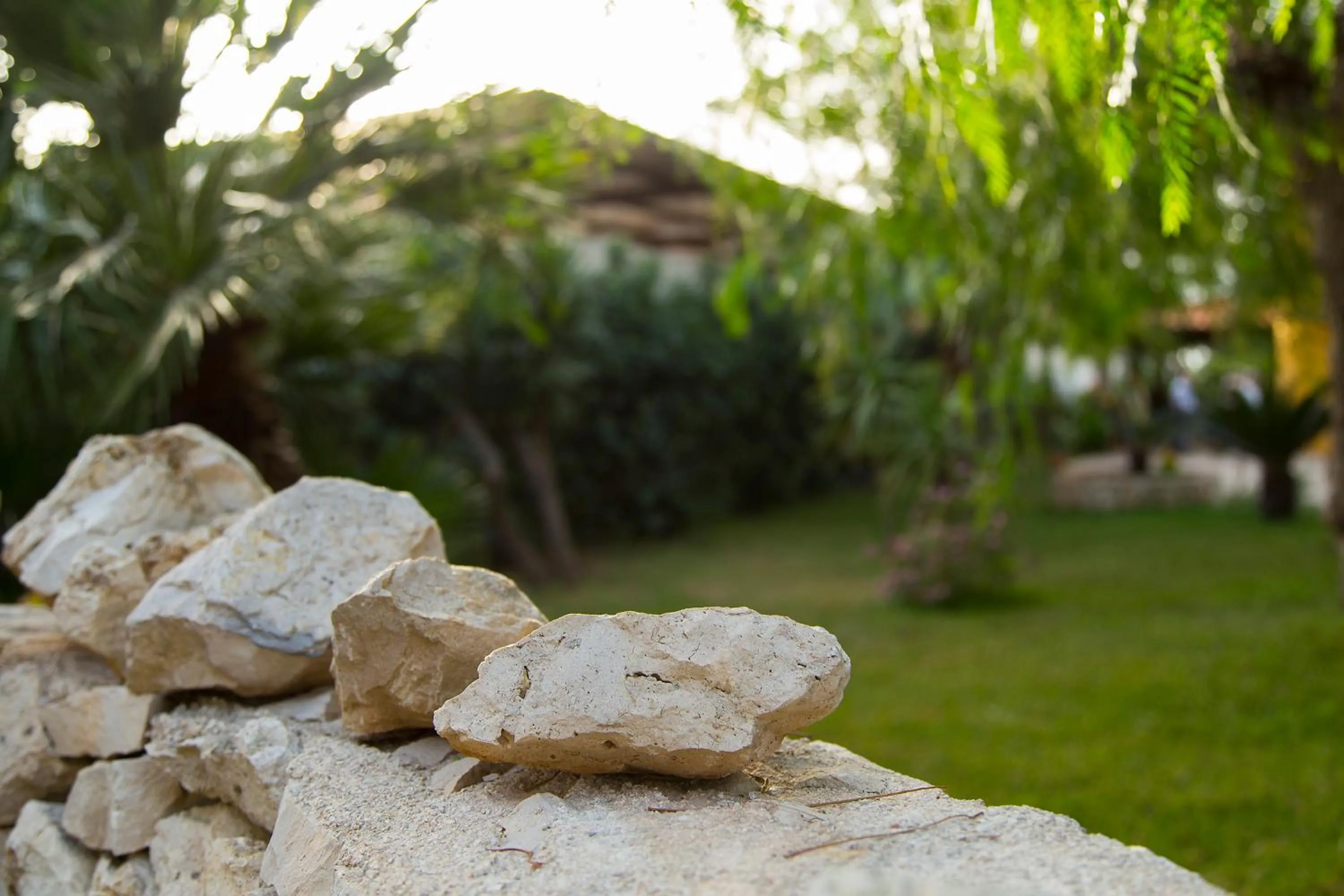 Garden in B&B Villa Fanizza