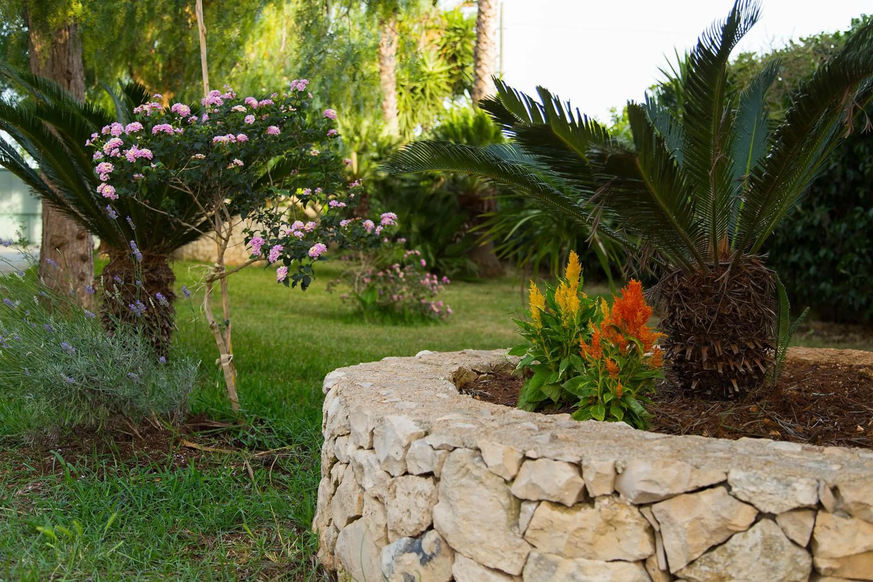 Garden in B&B Villa Fanizza
