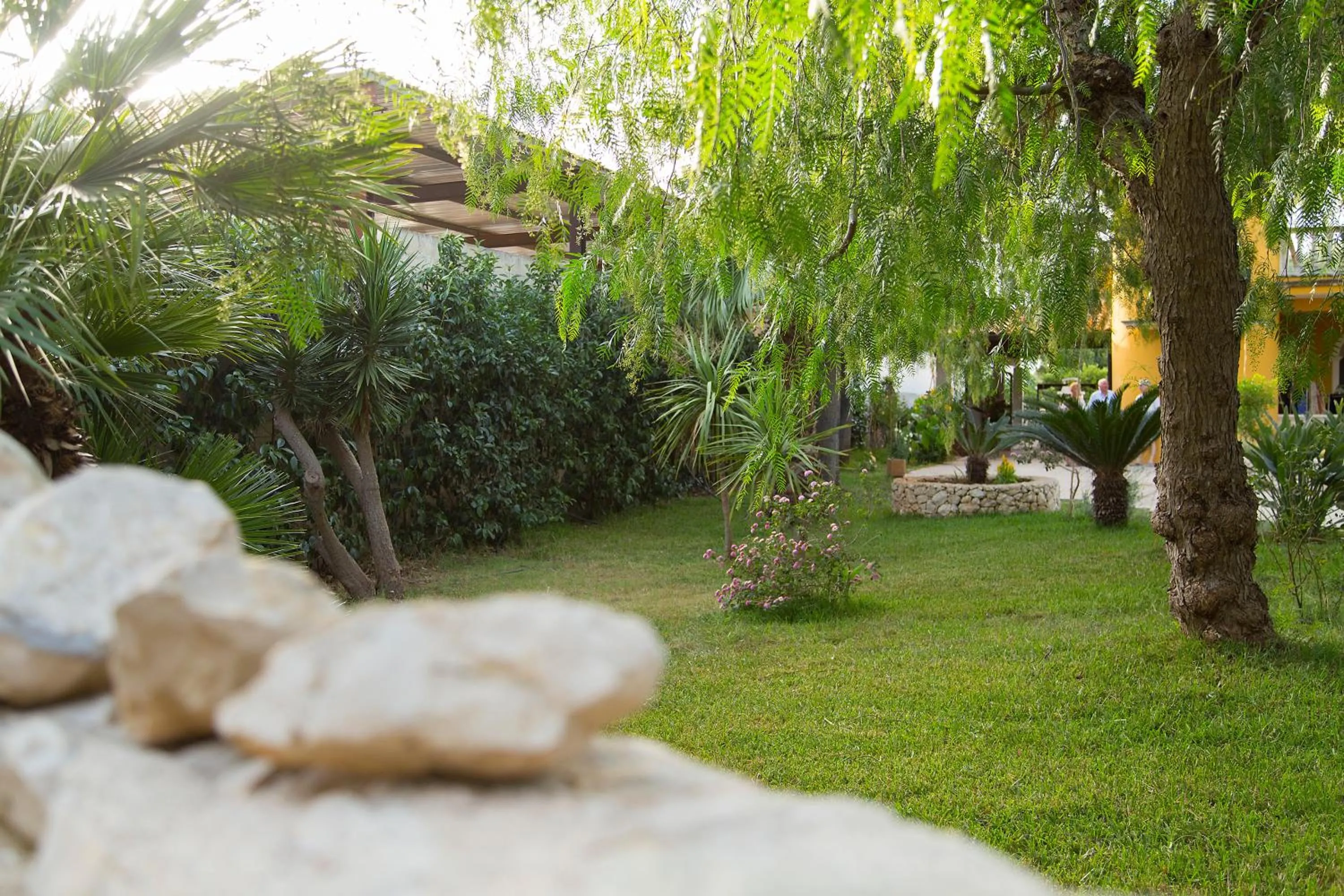 Garden in B&B Villa Fanizza