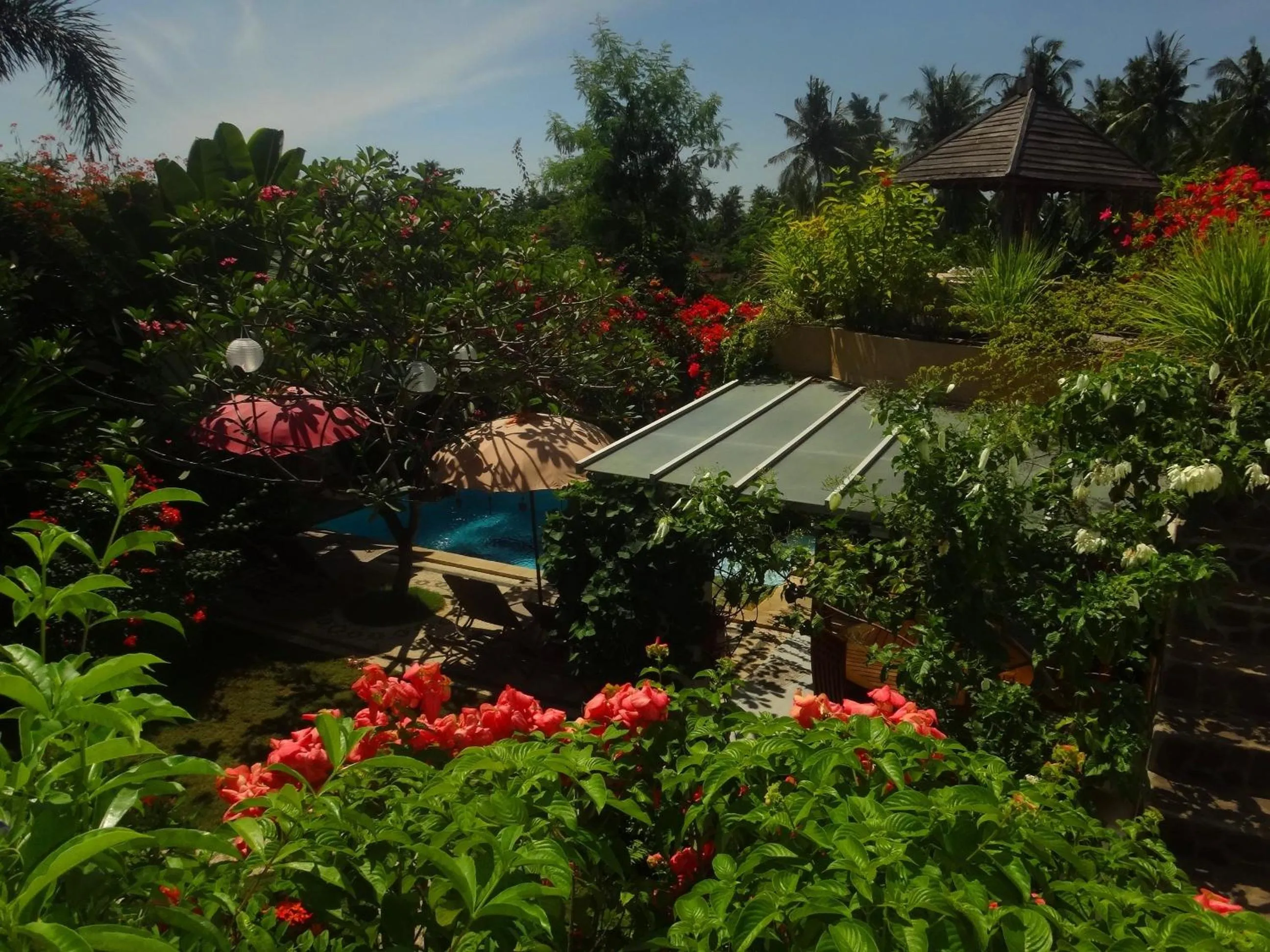 Garden in Villa Lumbalumba
