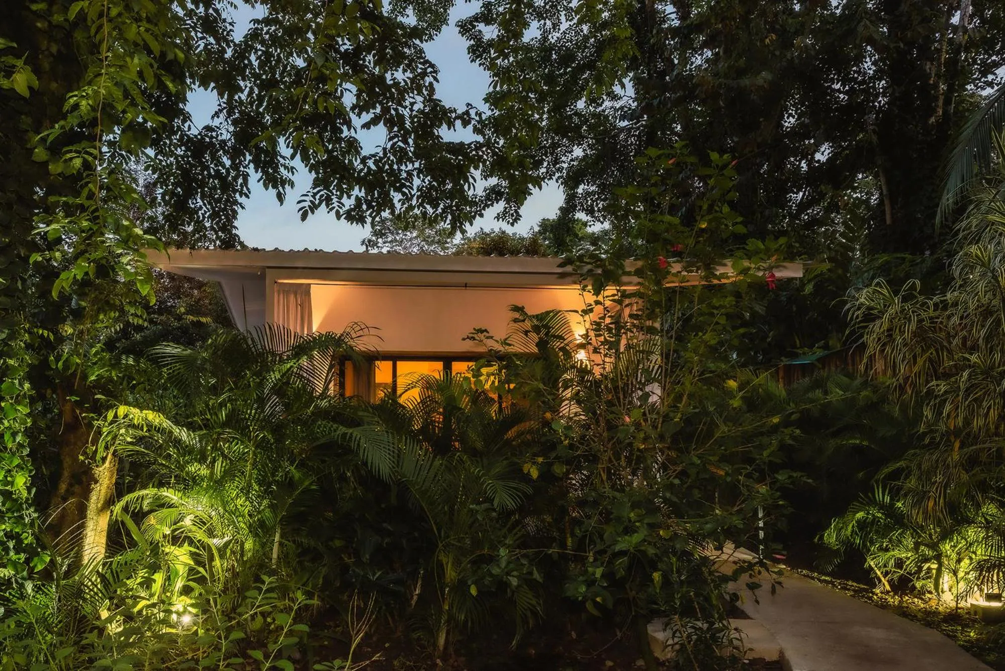 Natural landscape in El Nido Jungle Lodge