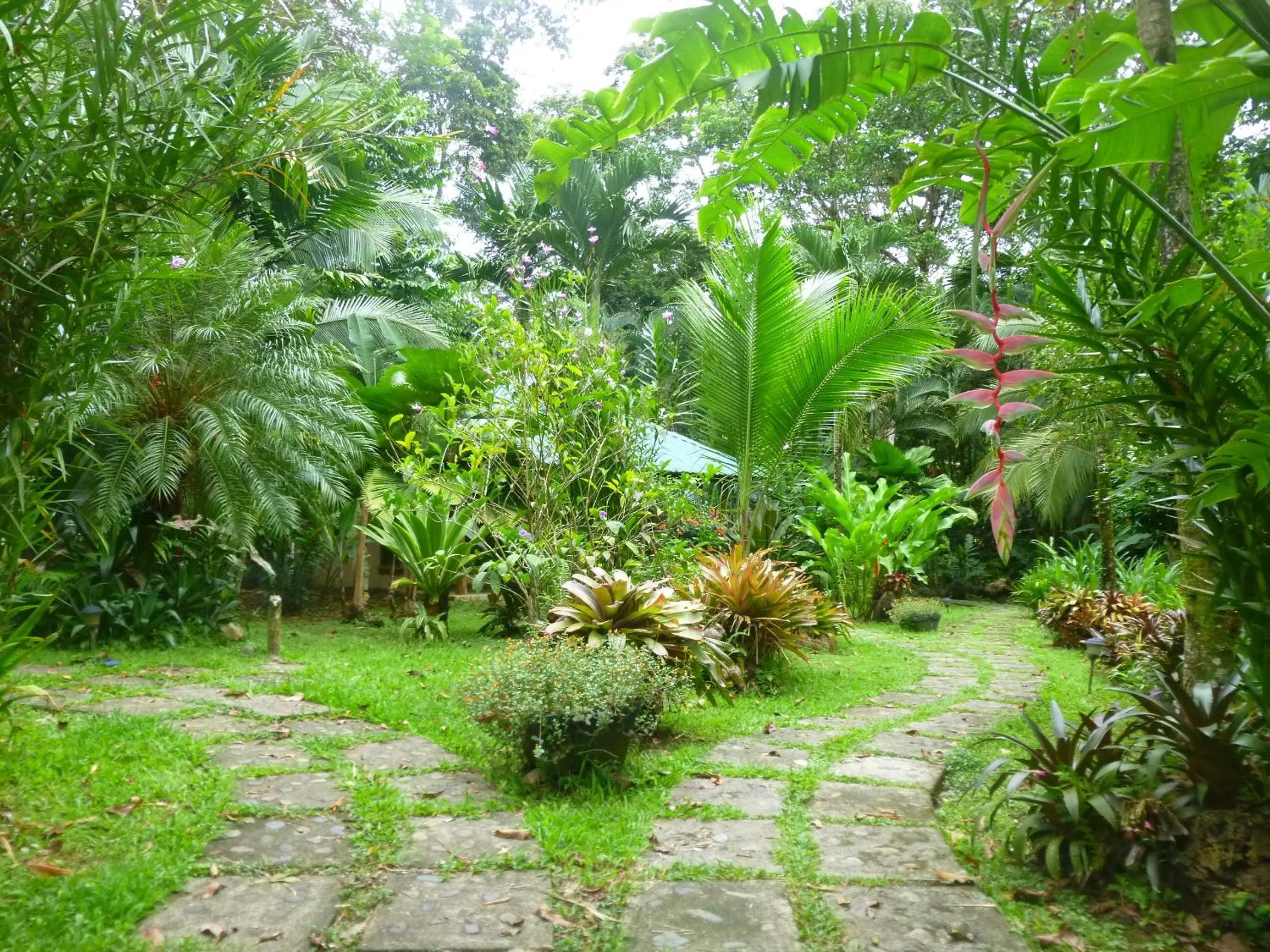 Garden in El Nido Jungle Lodge