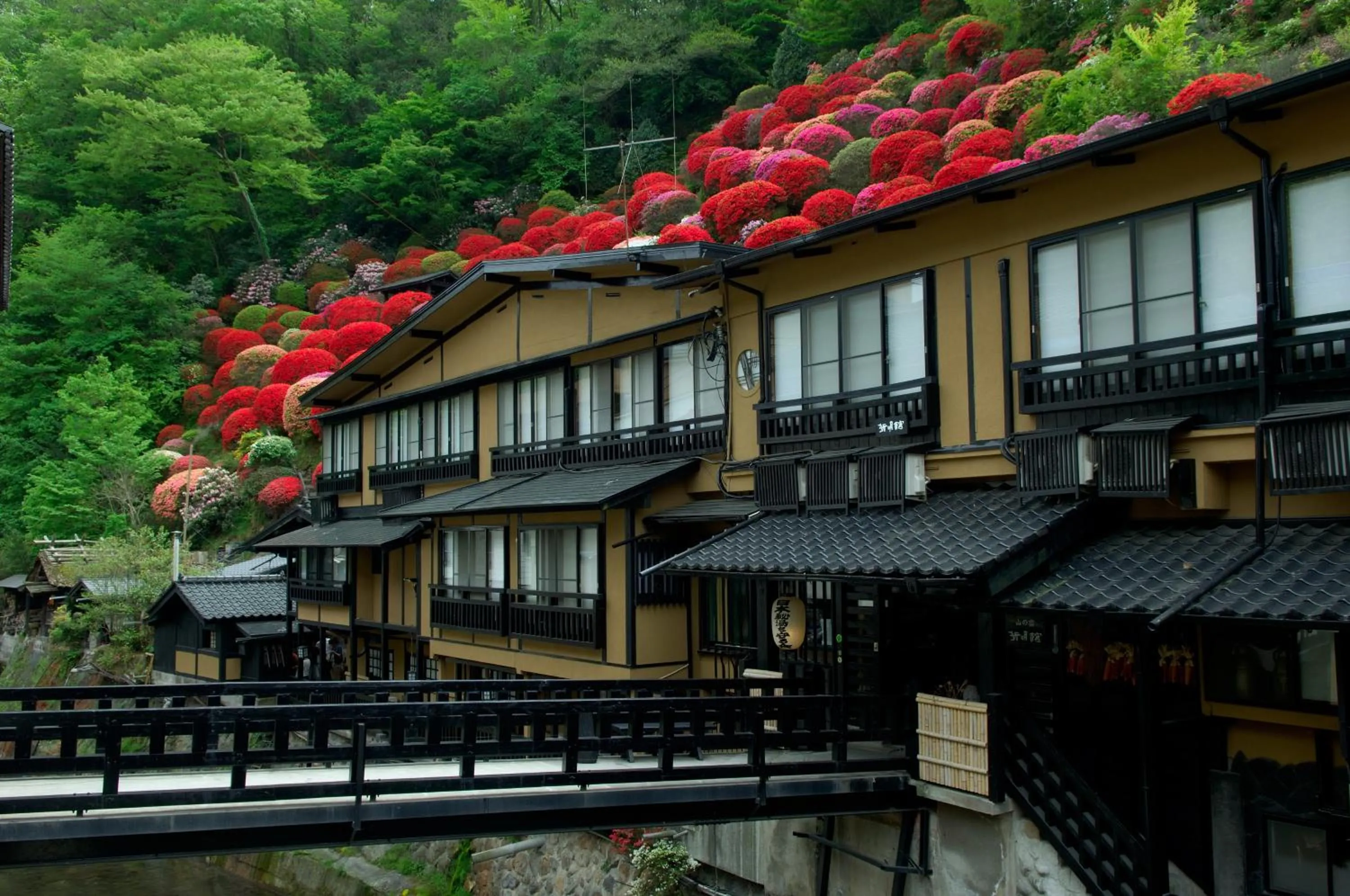 Facade/entrance in Kurokawa Onsen Yama no Yado Shinmeikan