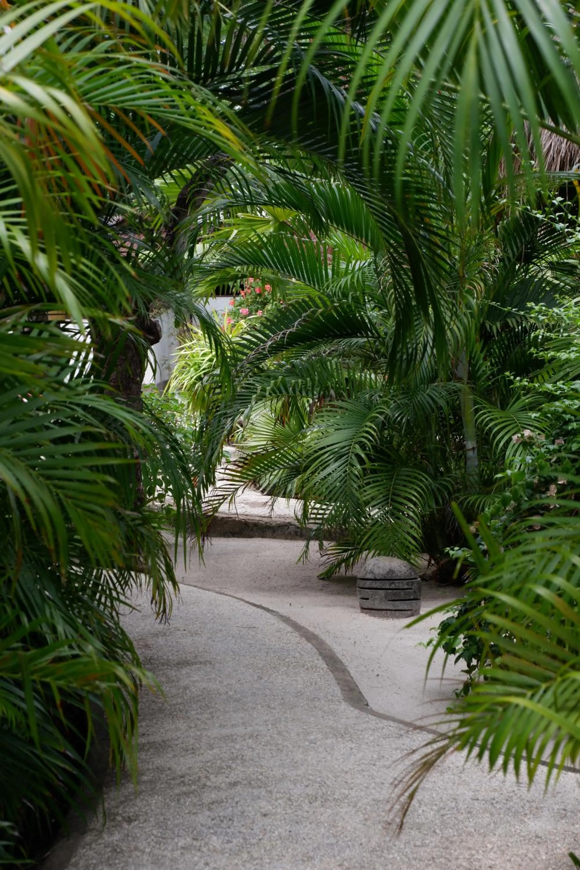 Garden in Karma Kayak