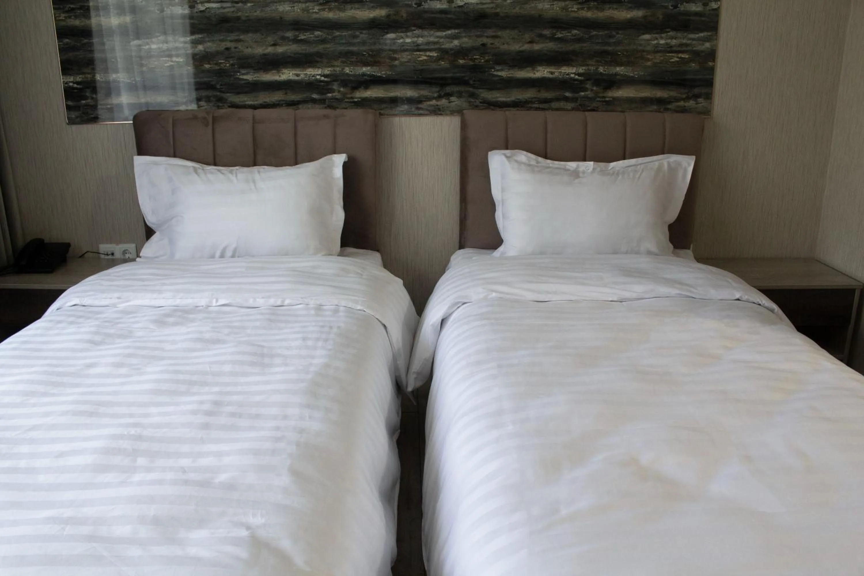 Standard Twin Room in Artist Regency Hotel
