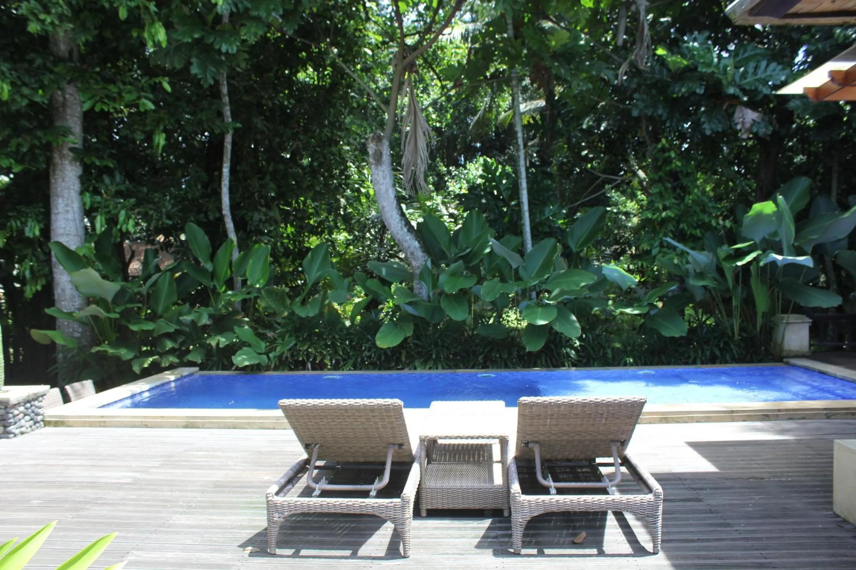 Swimming pool in Belvilla Dhyana Kutir Seseh Beach