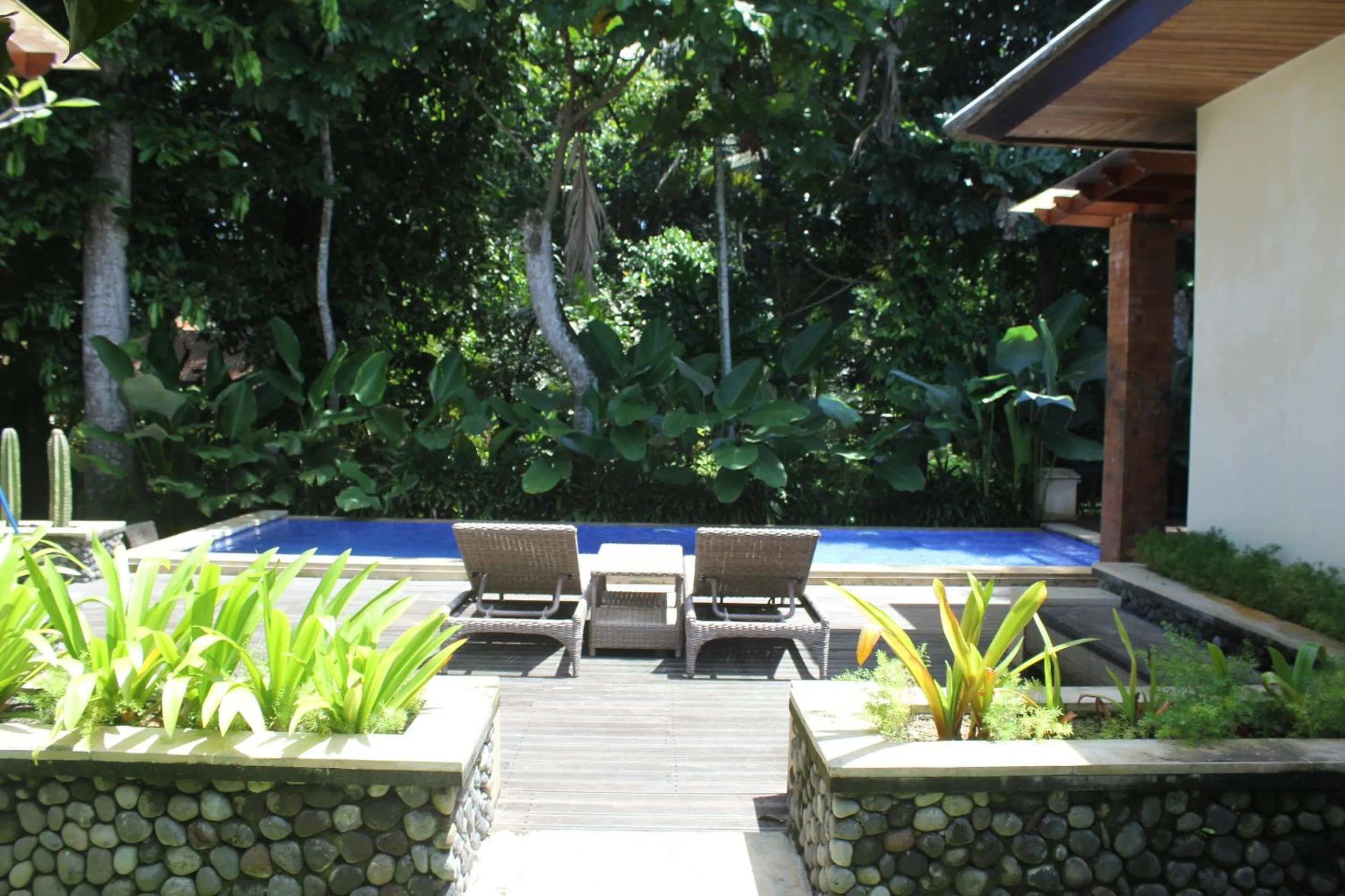 Swimming pool in Belvilla Dhyana Kutir Seseh Beach