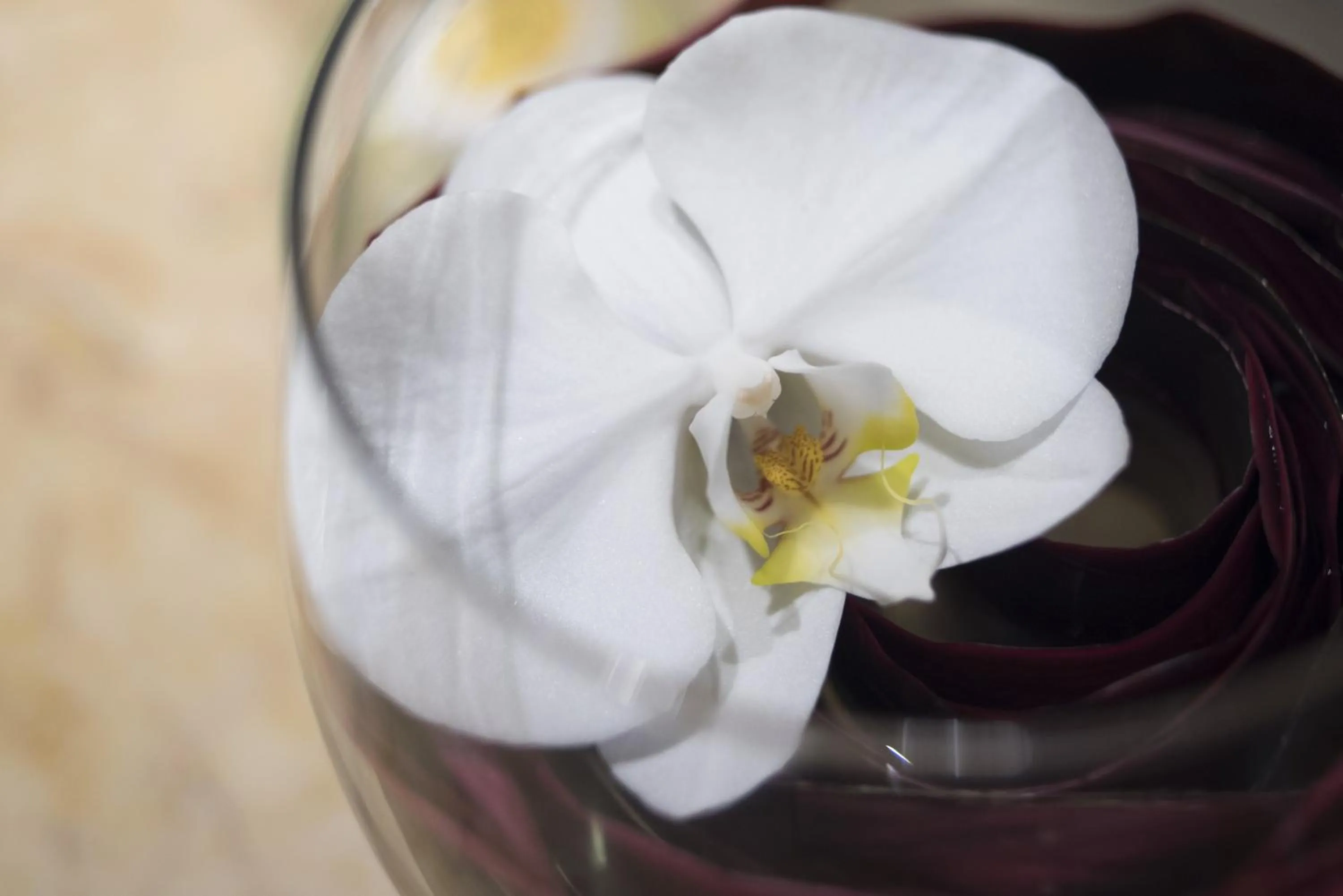 Open Air Bath in Apricot Hotel