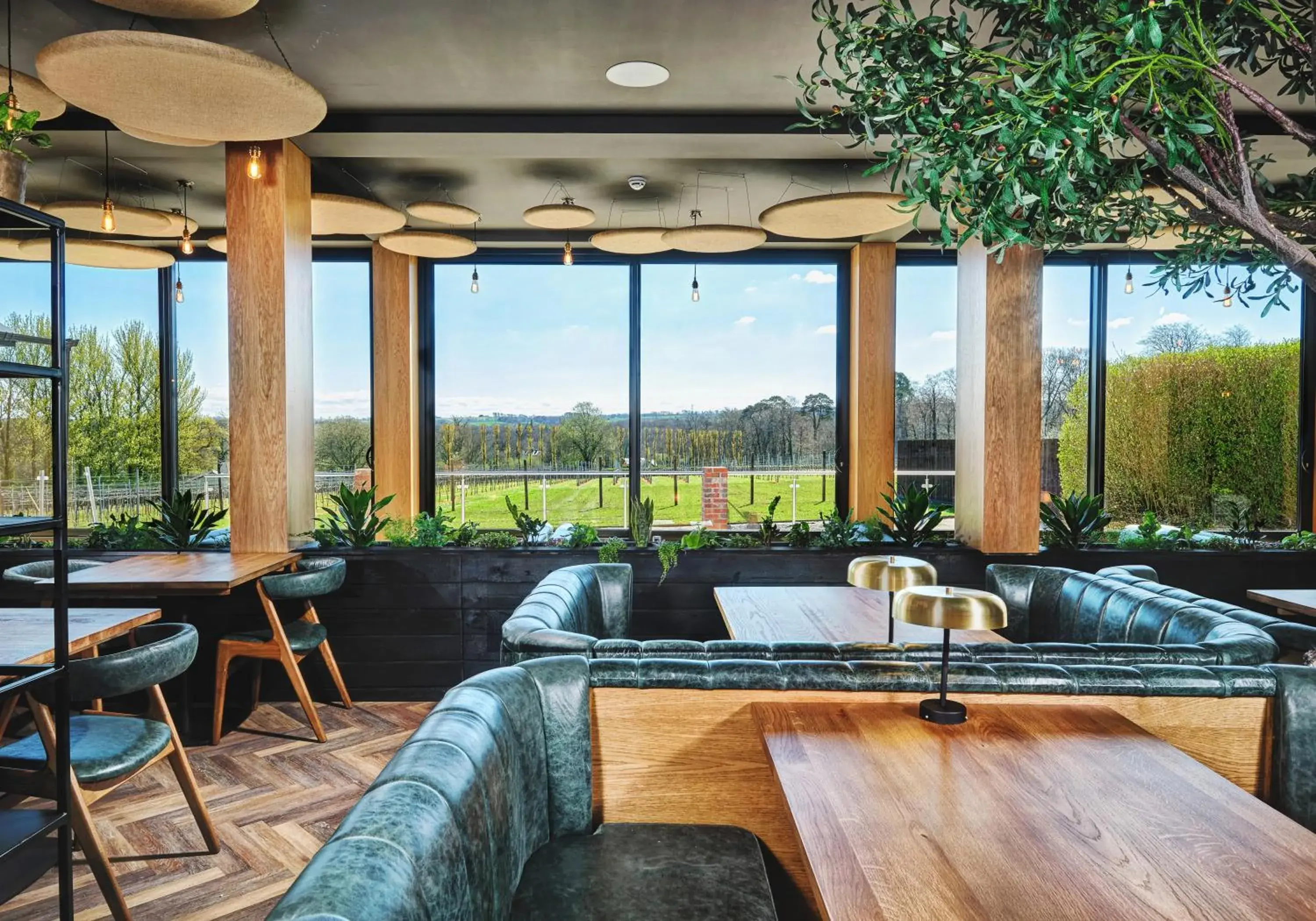 Restaurant/places to eat in Llanerch Vineyard Hotel Restaurant/places to eat in Llanerch Vineyard Hotel