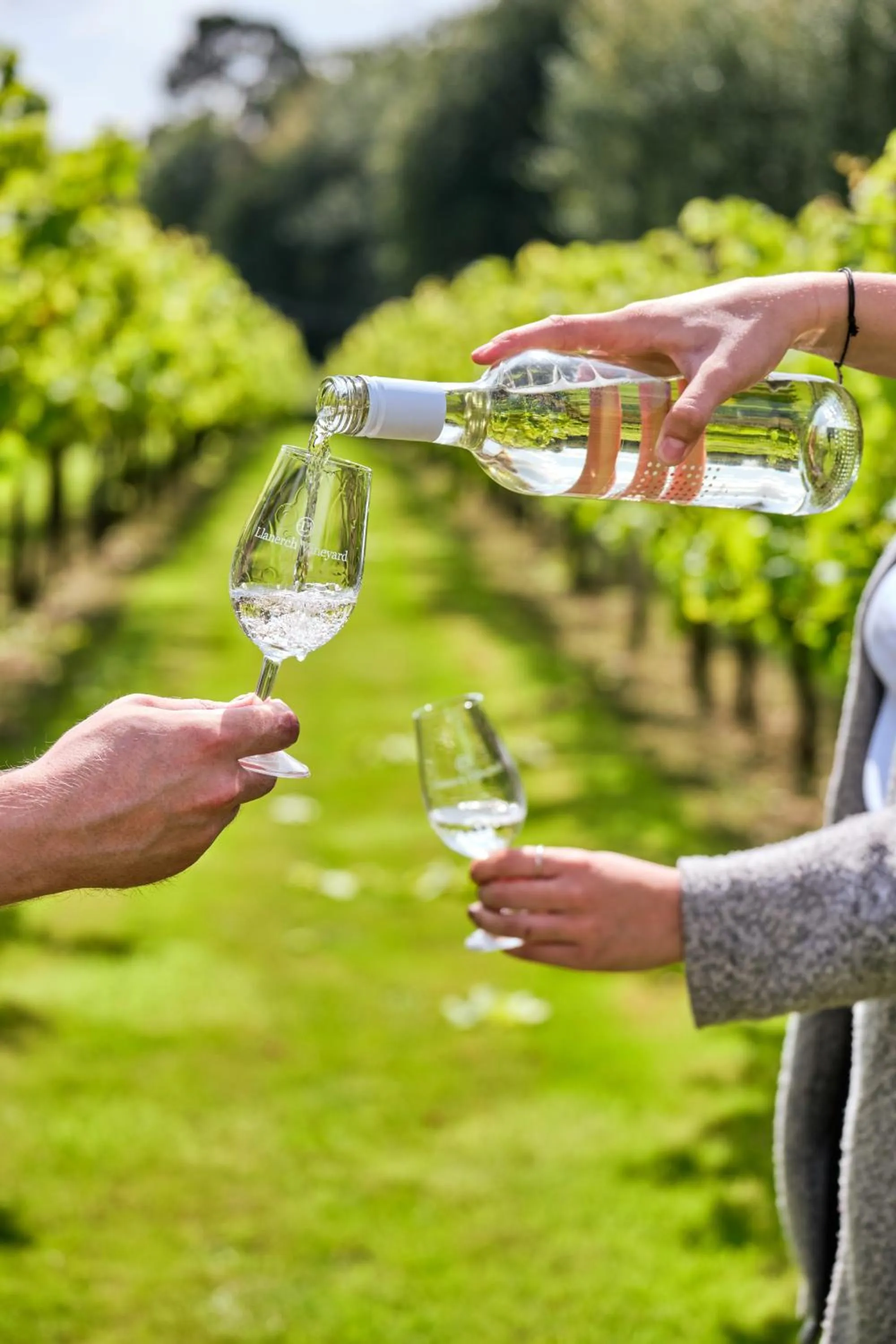 Drinks in Llanerch Vineyard Hotel