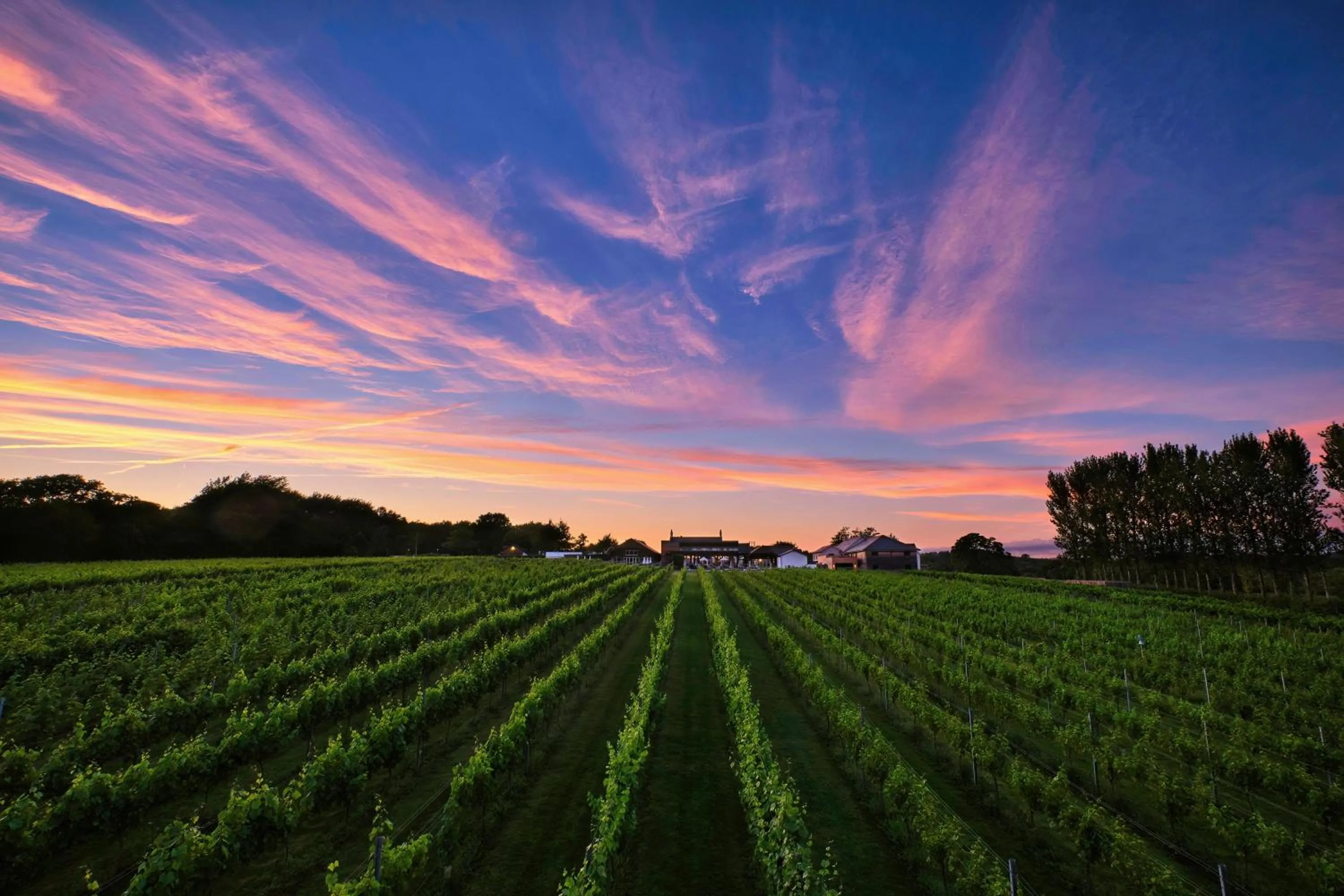 Property building in Llanerch Vineyard Hotel