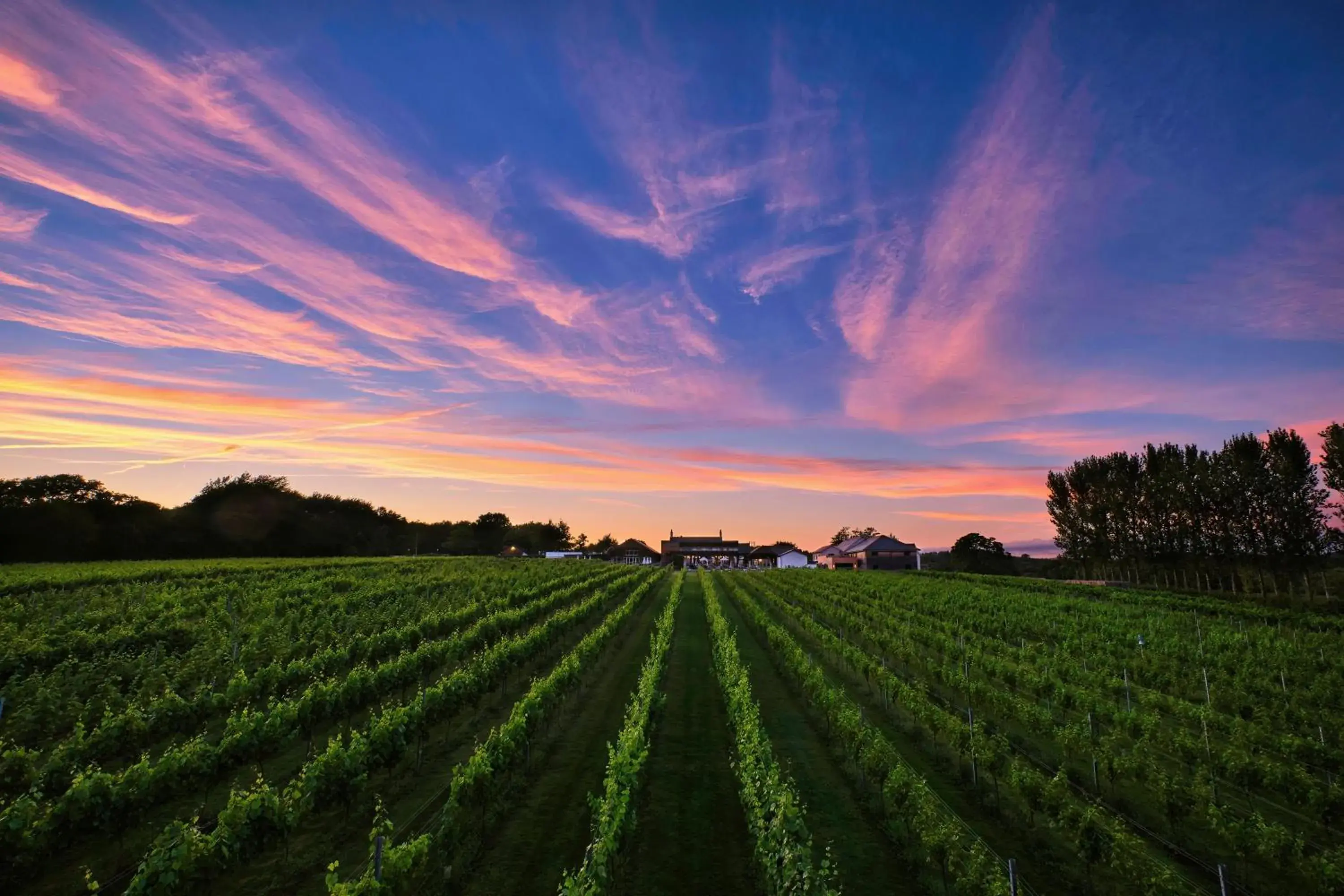 Llanerch Vineyard Hotel Llanerch Vineyard Hotel