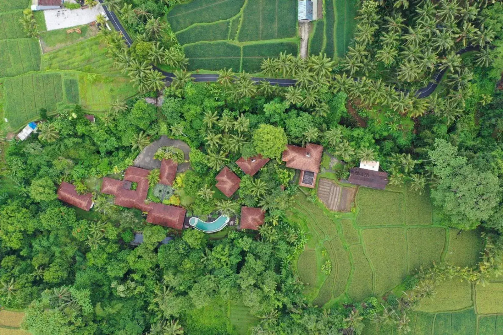 Property building in BeingSattvaa Luxury Ubud Property building in BeingSattvaa Luxury Ubud